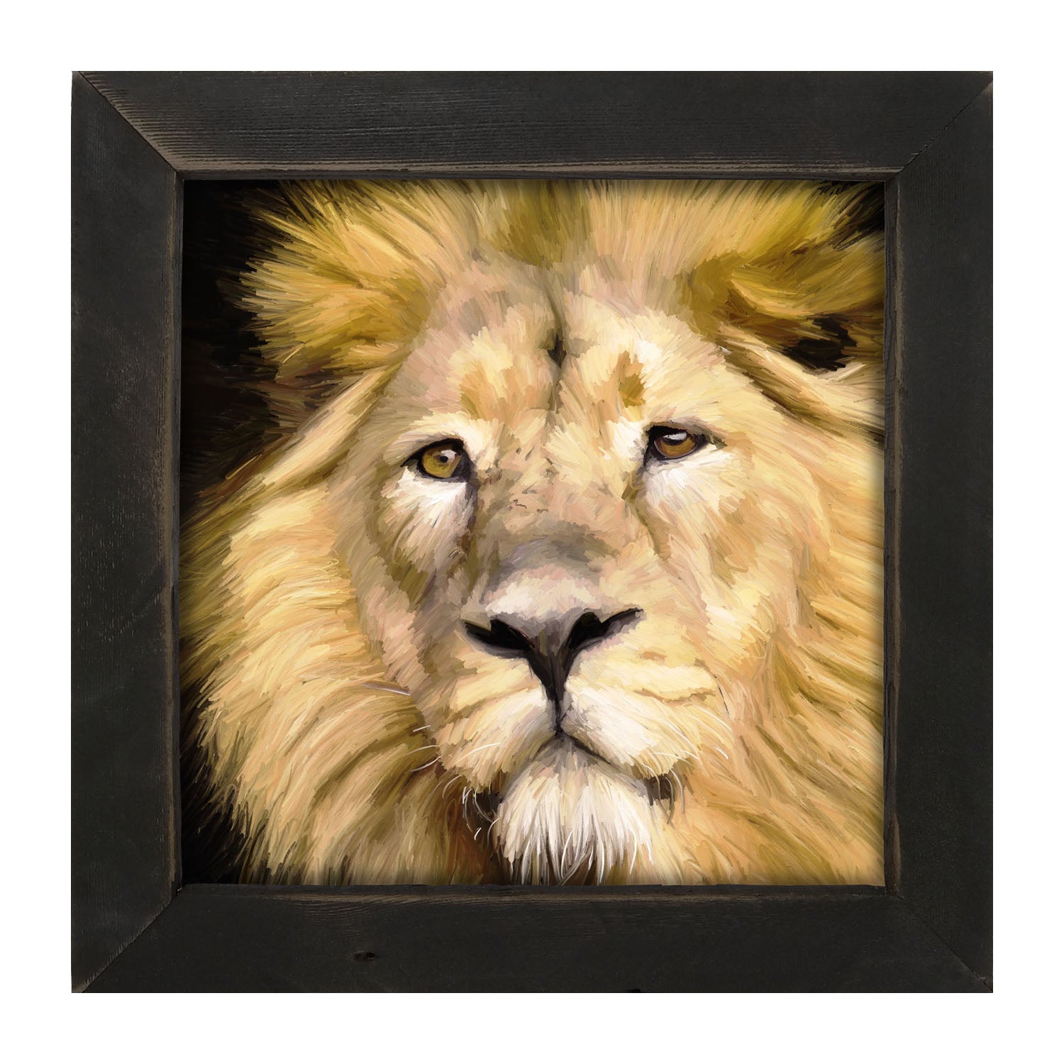Lion - Framed art