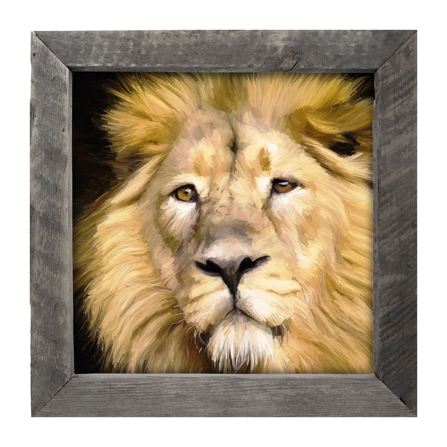 Lion - Framed art