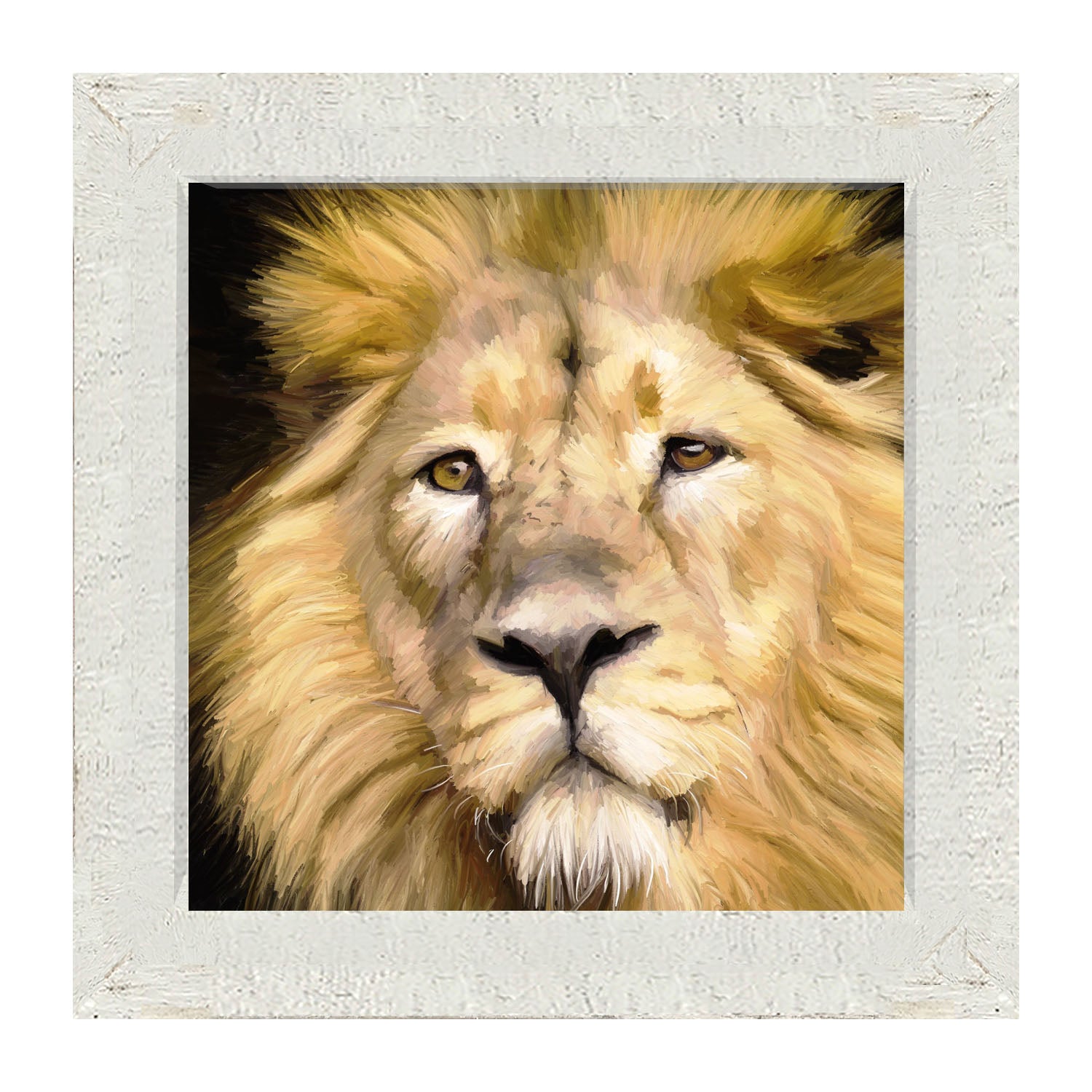 Lion - Framed art