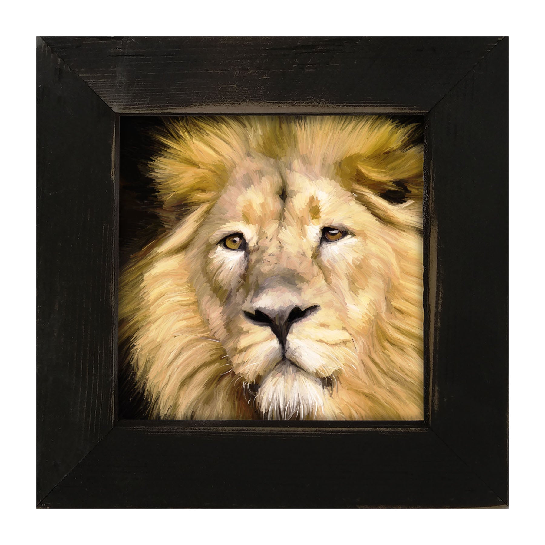 Lion - Framed art
