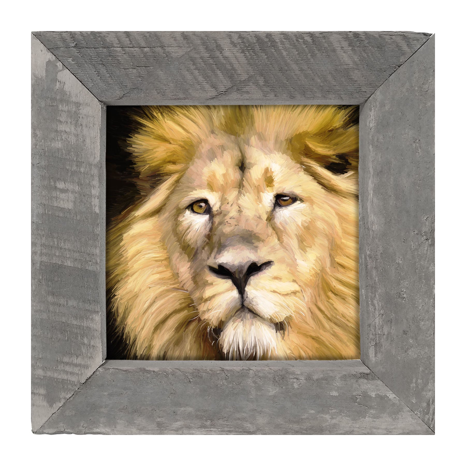 Lion - Framed art