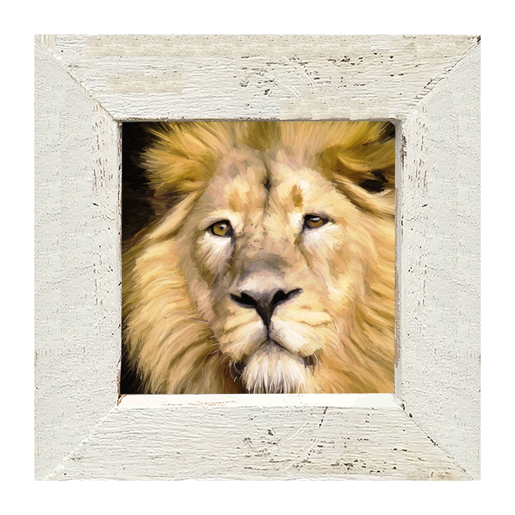 Lion - Framed art
