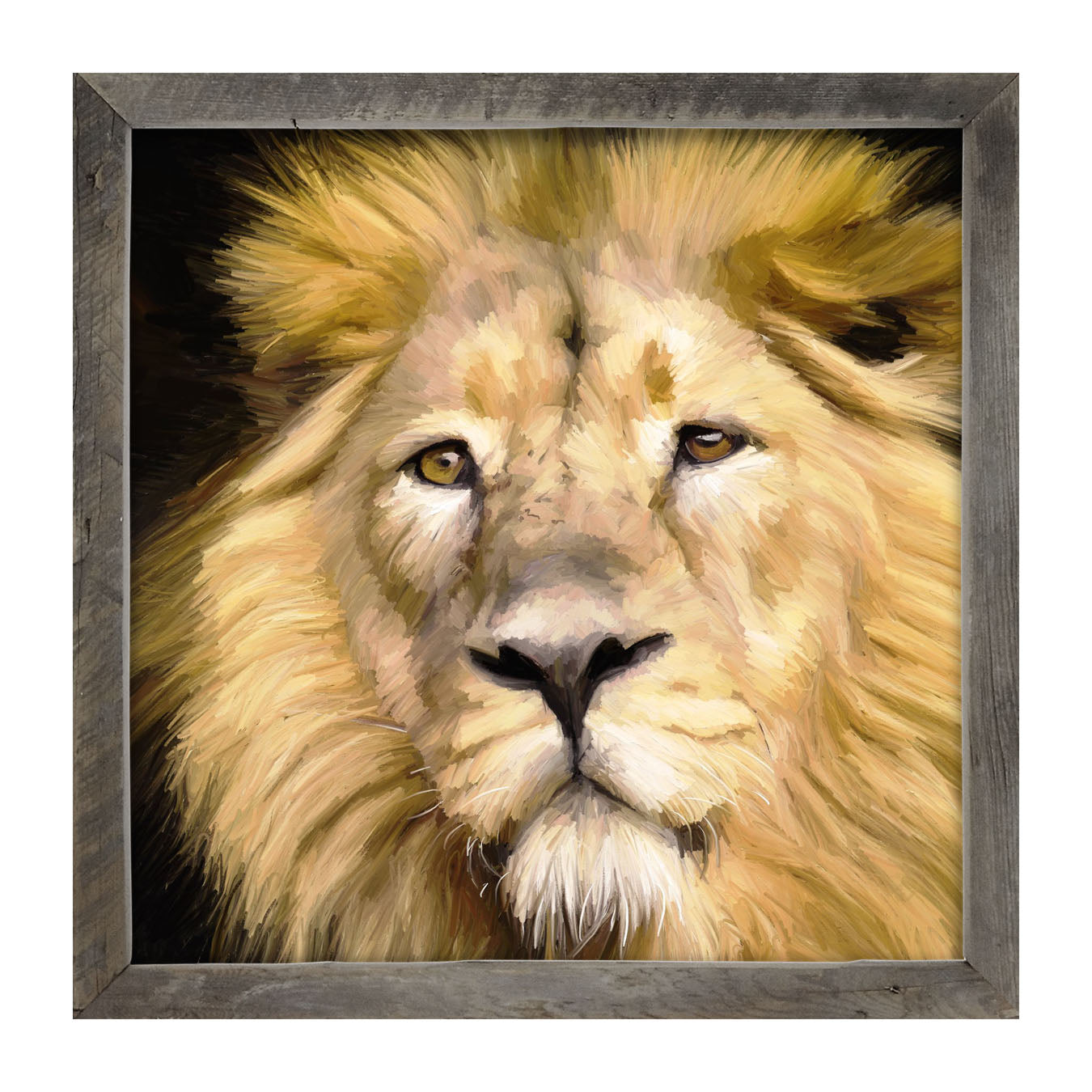 Lion - Framed art