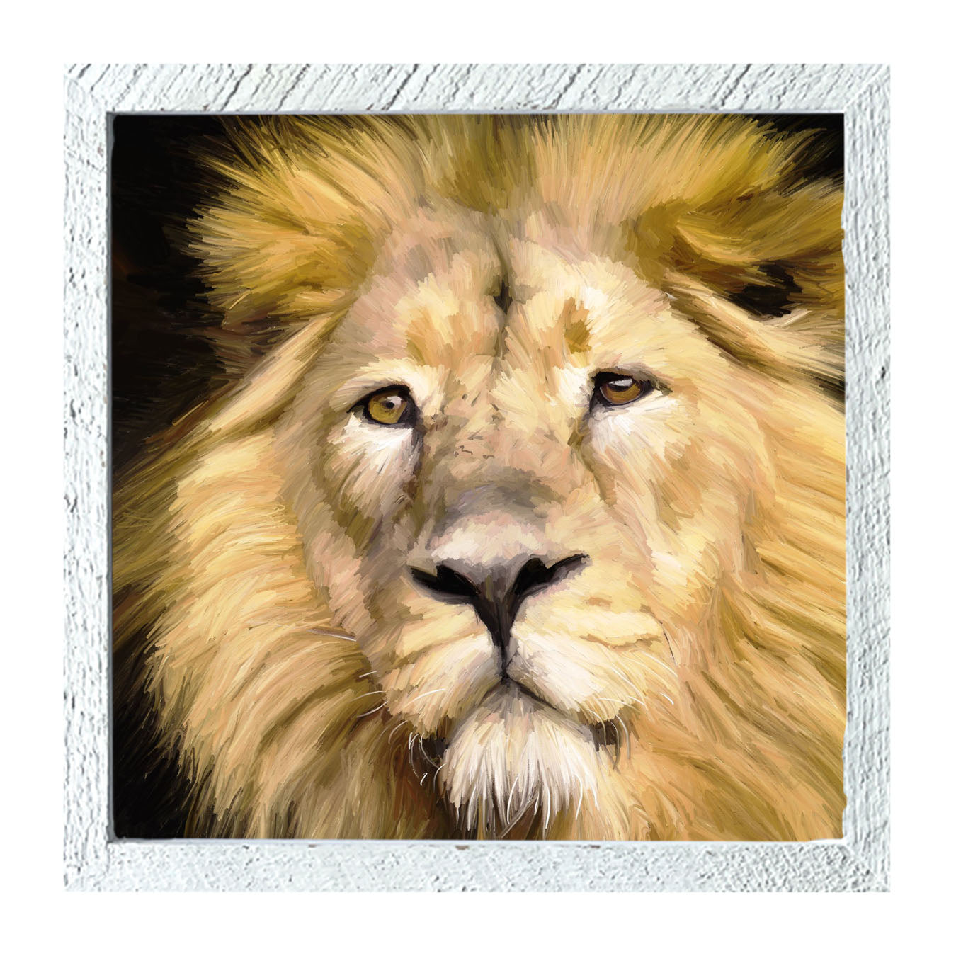 Lion - Framed art