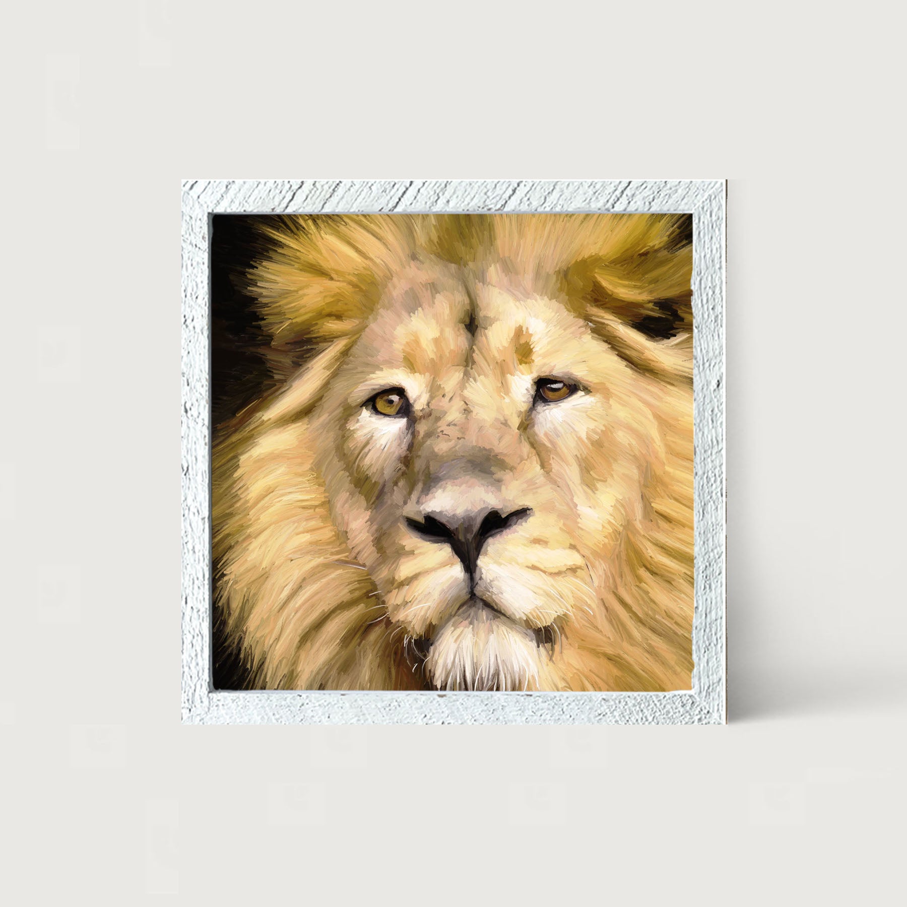 Lion - Framed art