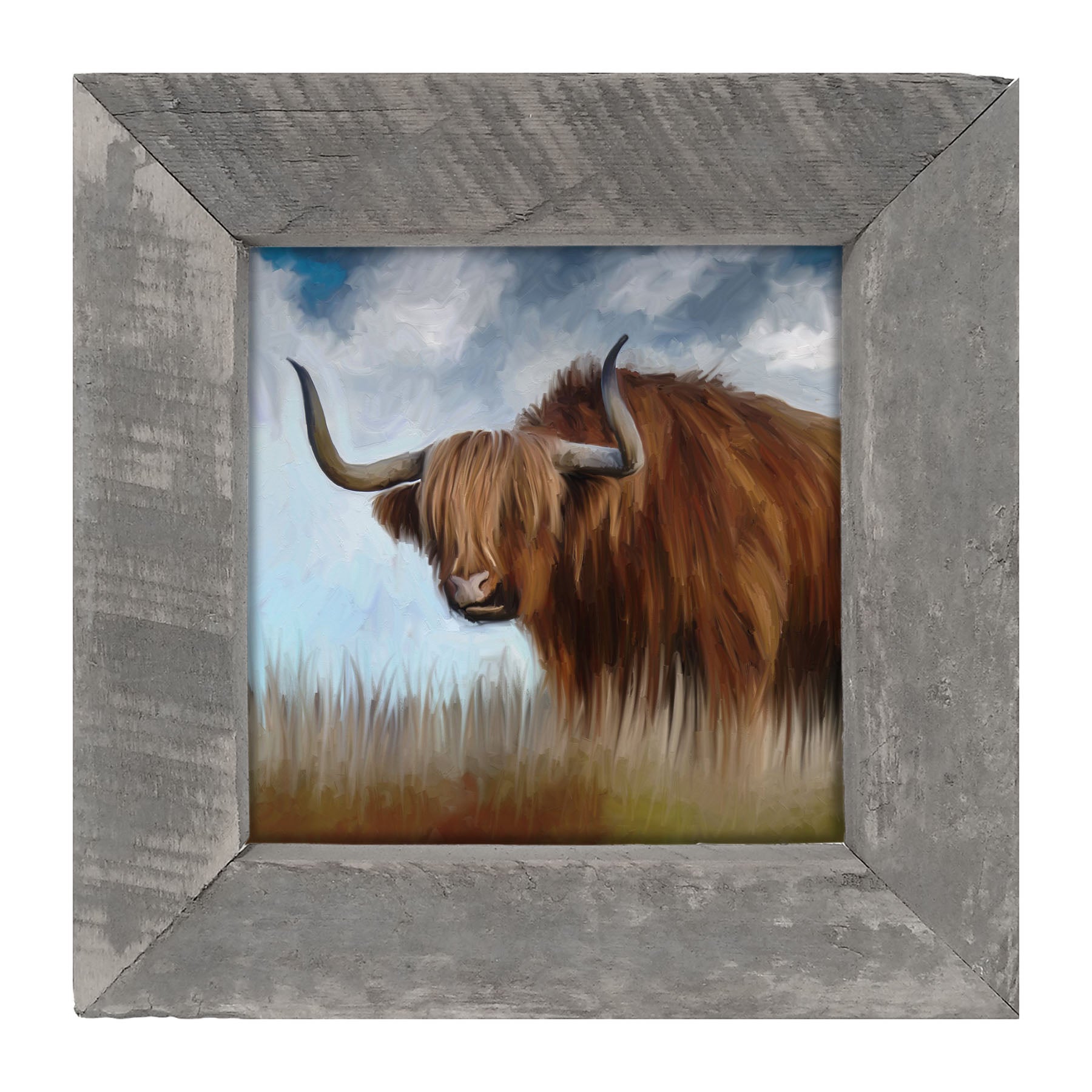Highland Bull - Framed art