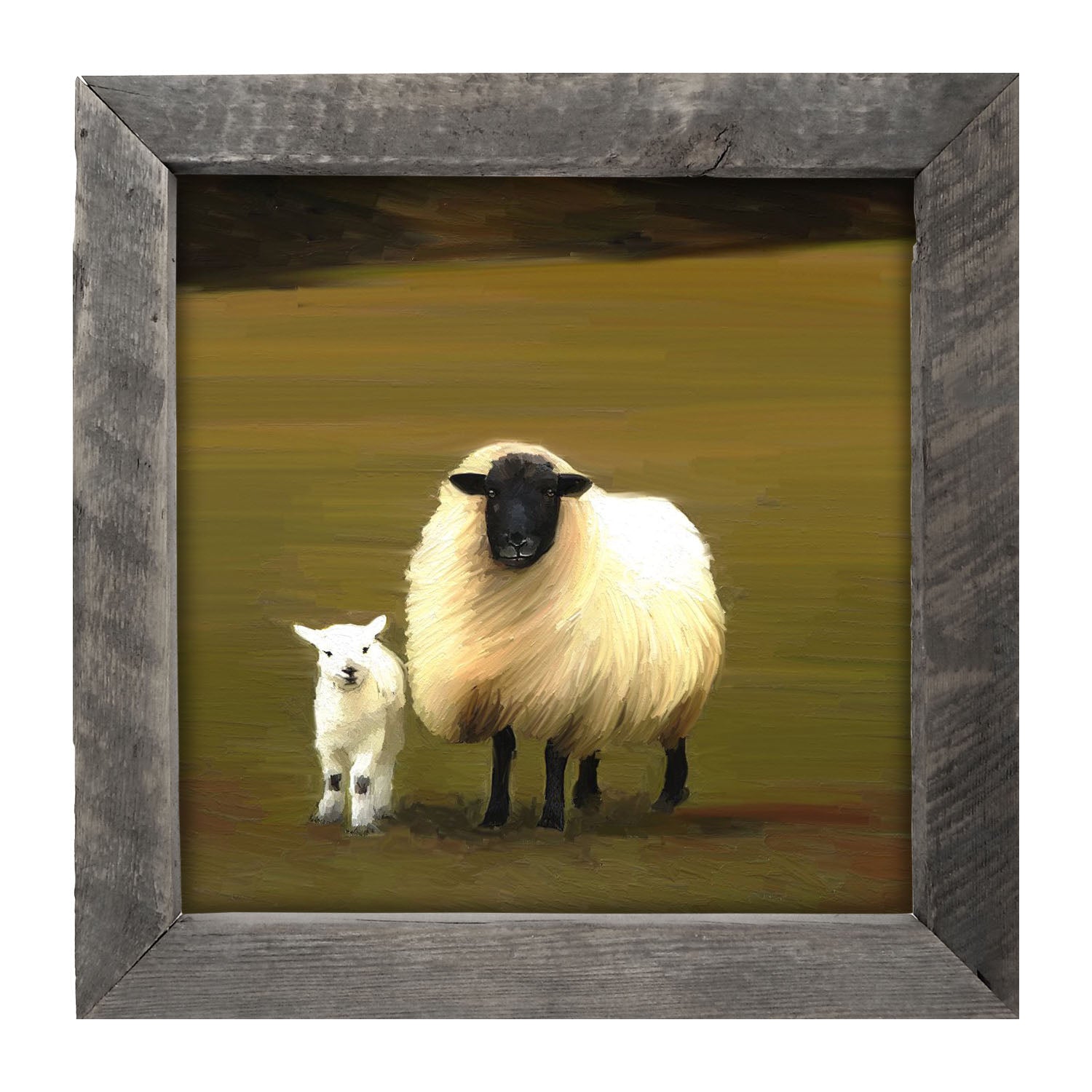 Black faced sheep and lamb