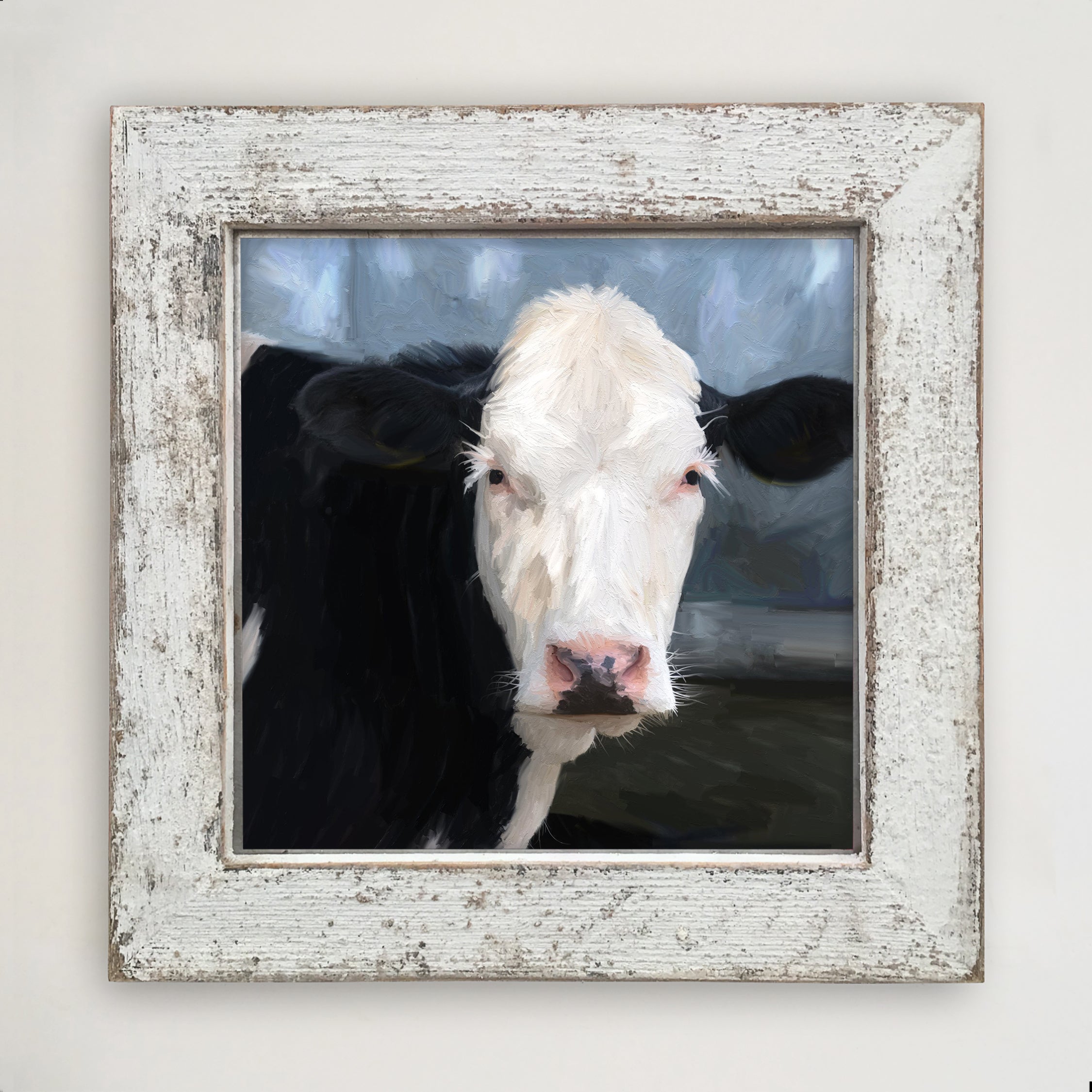 Holstein cow portrait