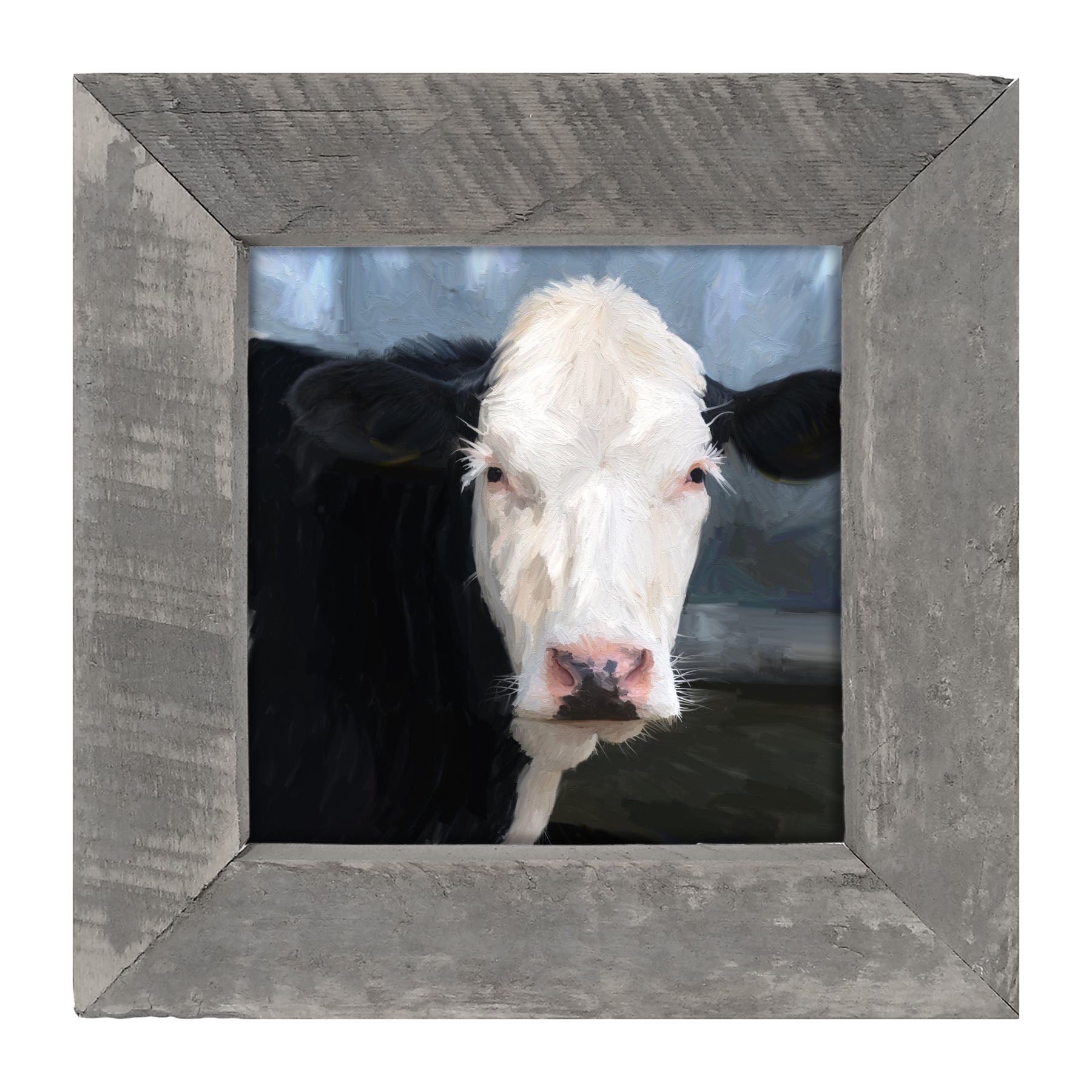Holstein cow portrait - Framed art