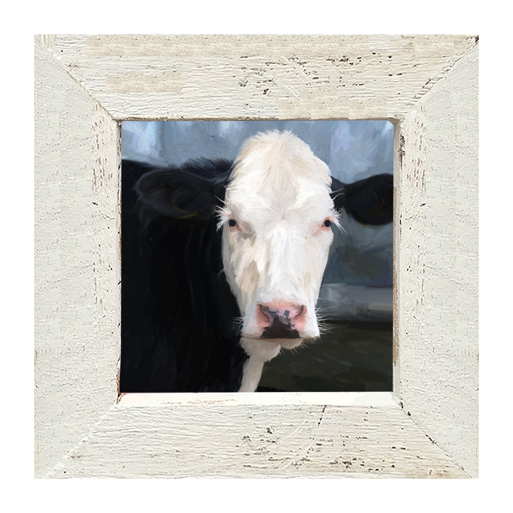 Holstein cow portrait - Framed art