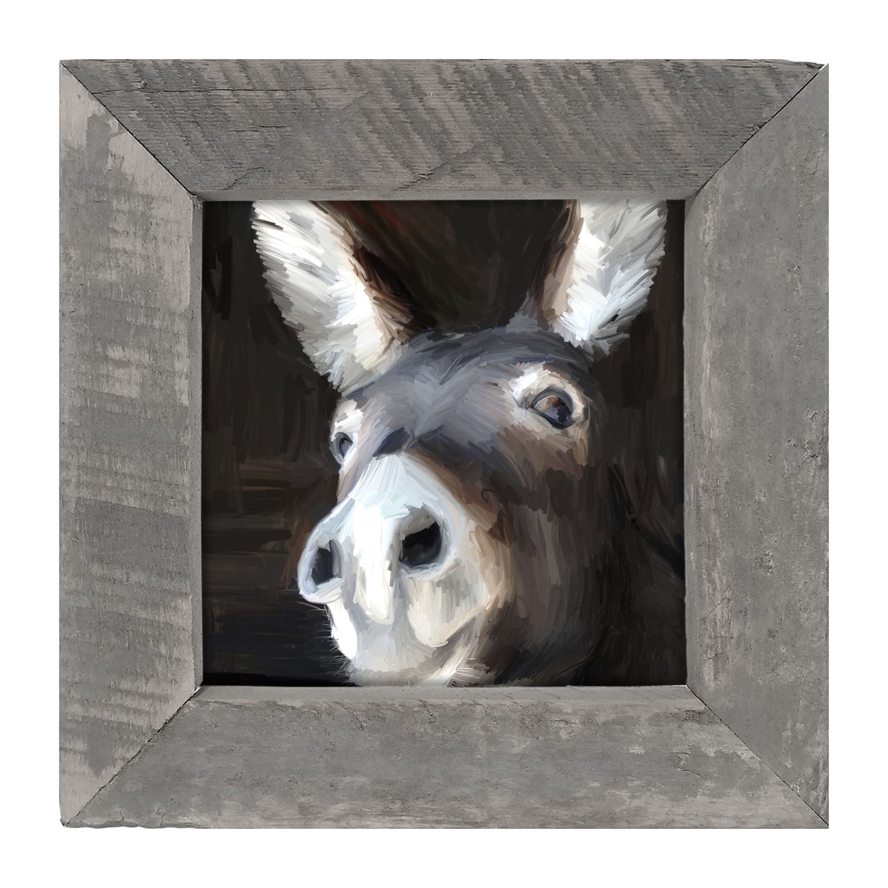 Donkey - Framed art
