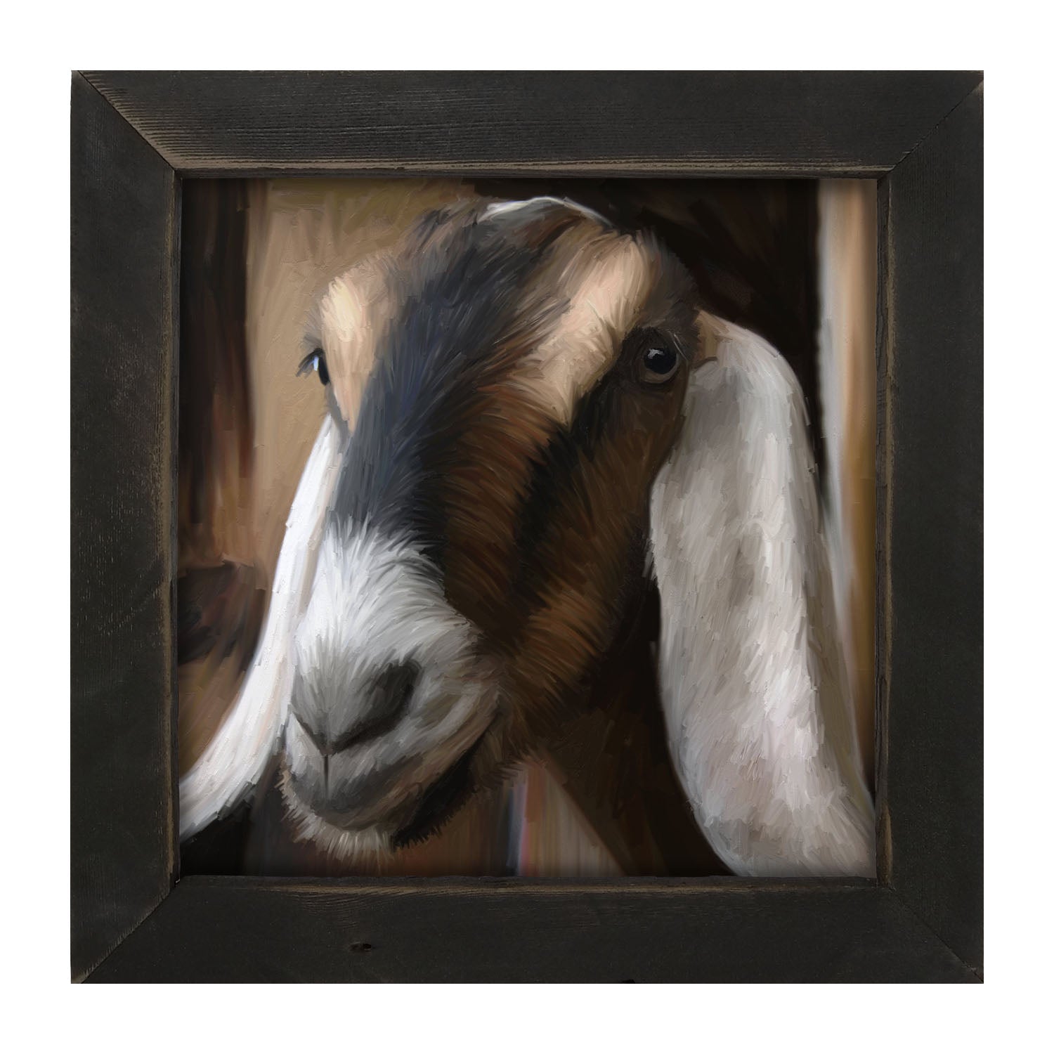 Long Earred Goat - Framed art