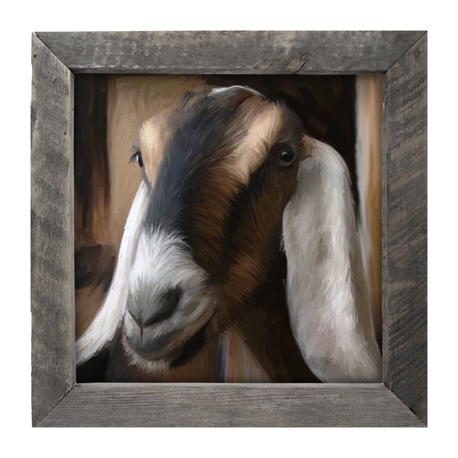 Long Earred Goat - Framed art