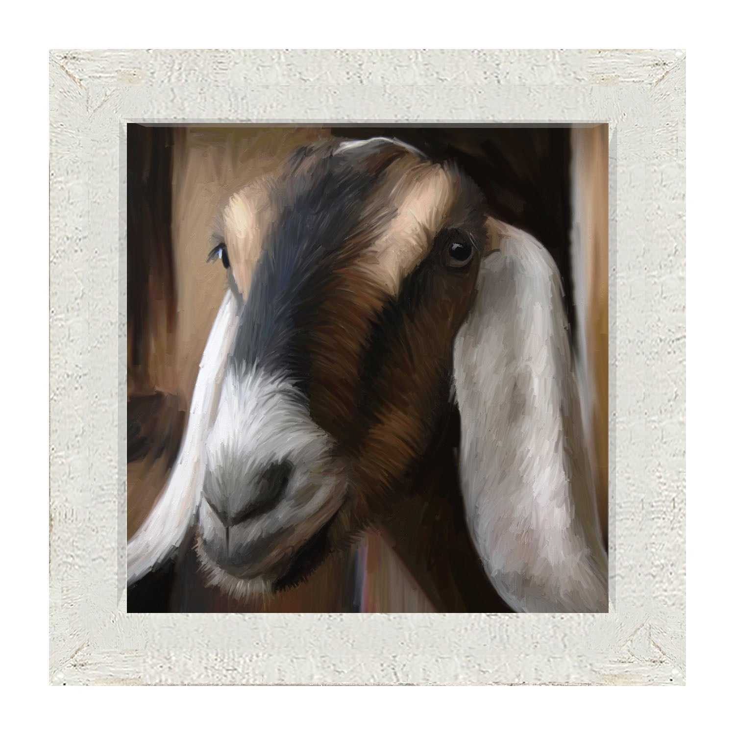 Long Earred Goat - Framed art