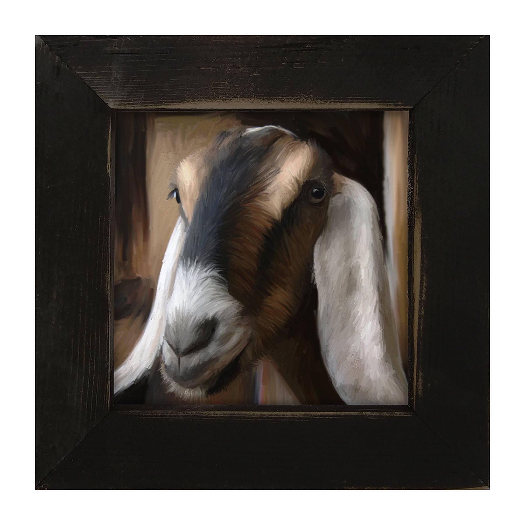 Long Earred Goat - Framed art
