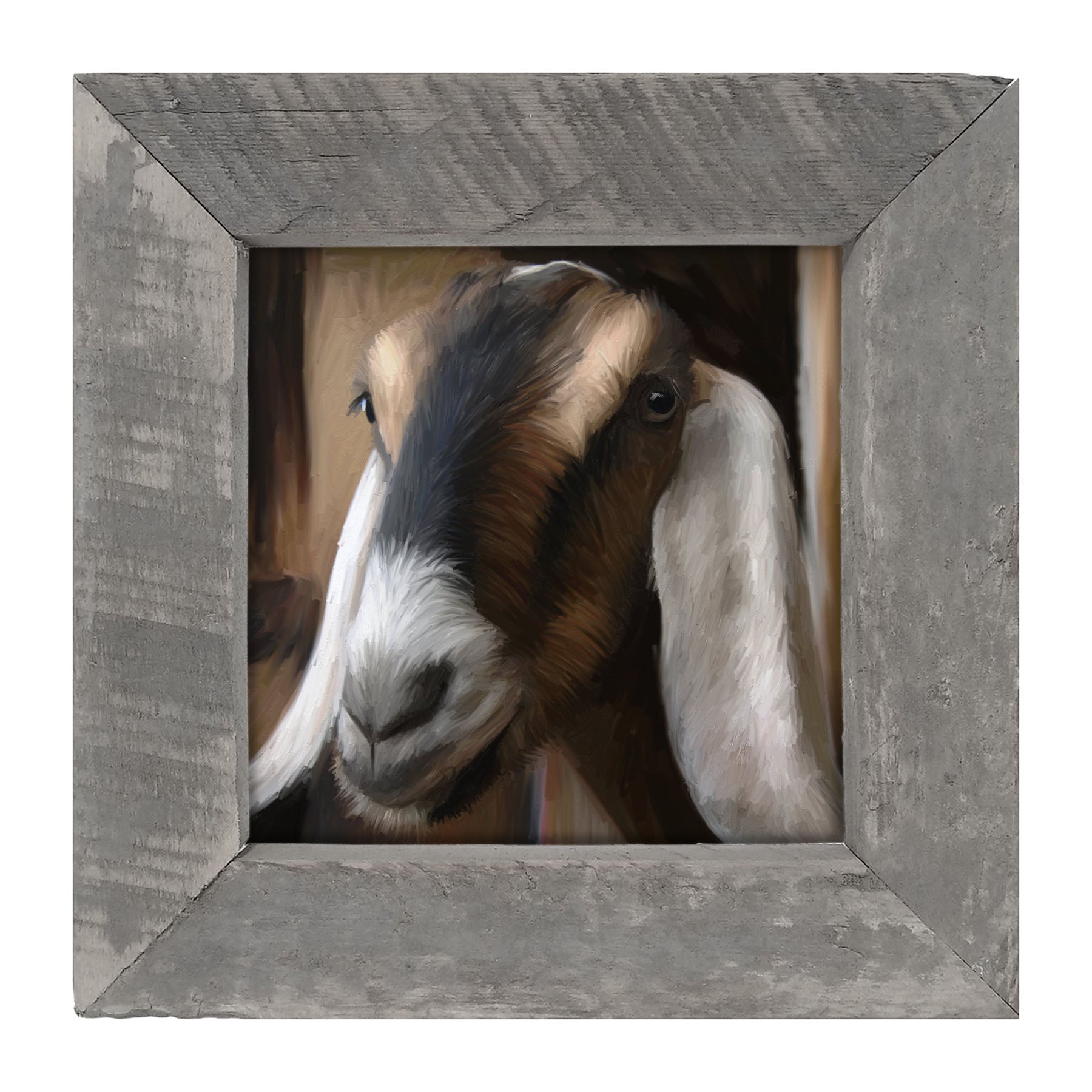 Long Earred Goat - Framed art