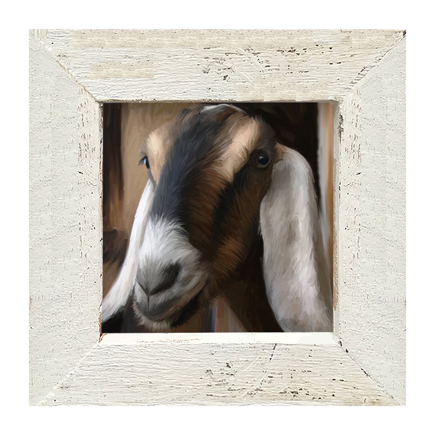 Long Earred Goat - Framed art