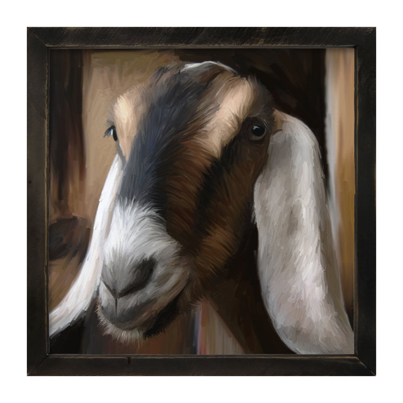 Long Earred Goat - Framed art