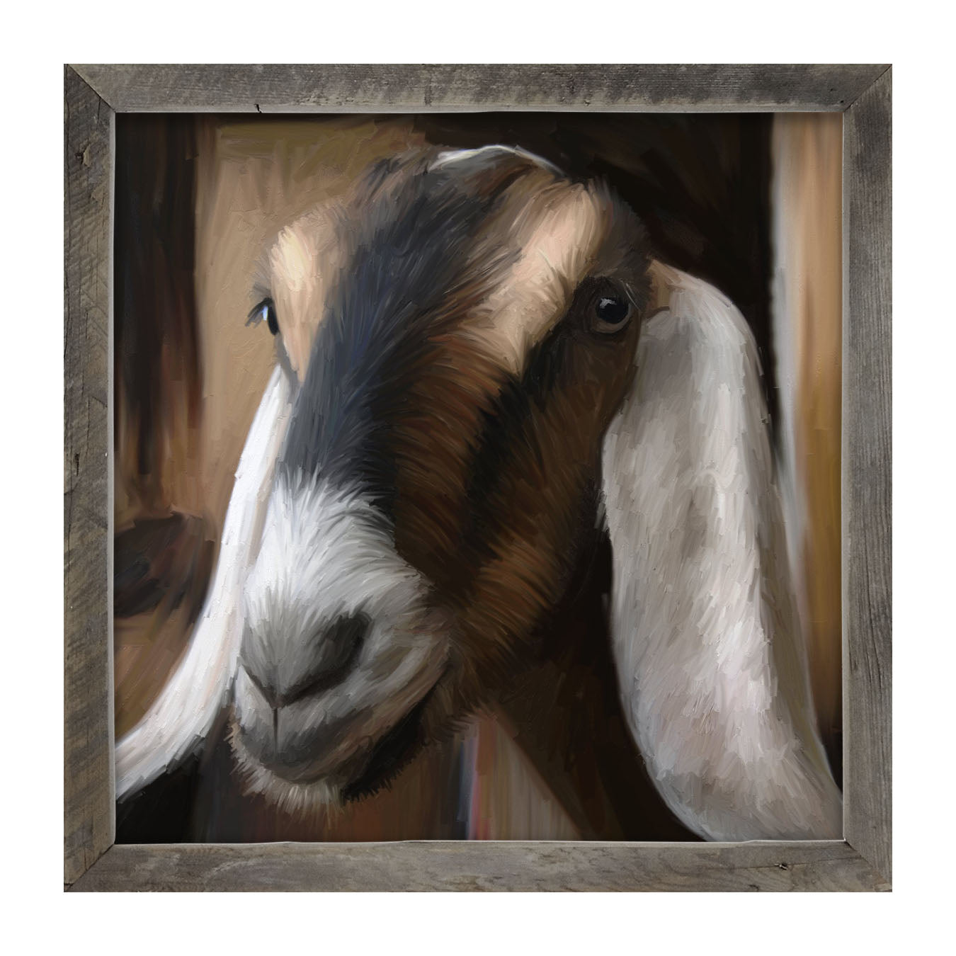 Long Earred Goat - Framed art