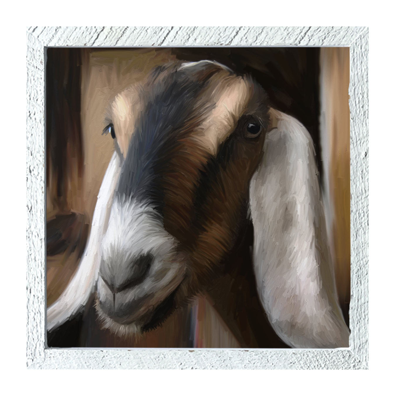 Long Earred Goat - Framed art