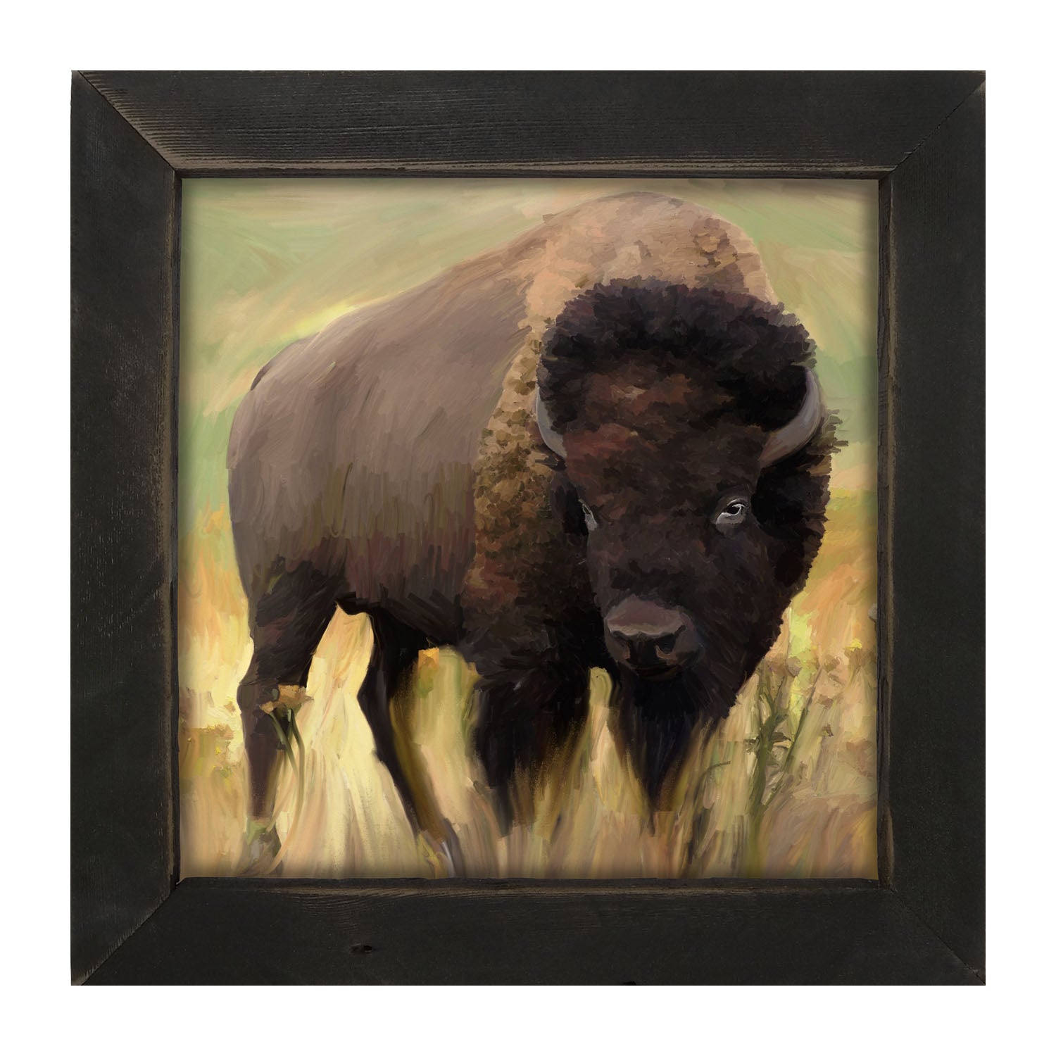 Lone Buffalo - Framed art