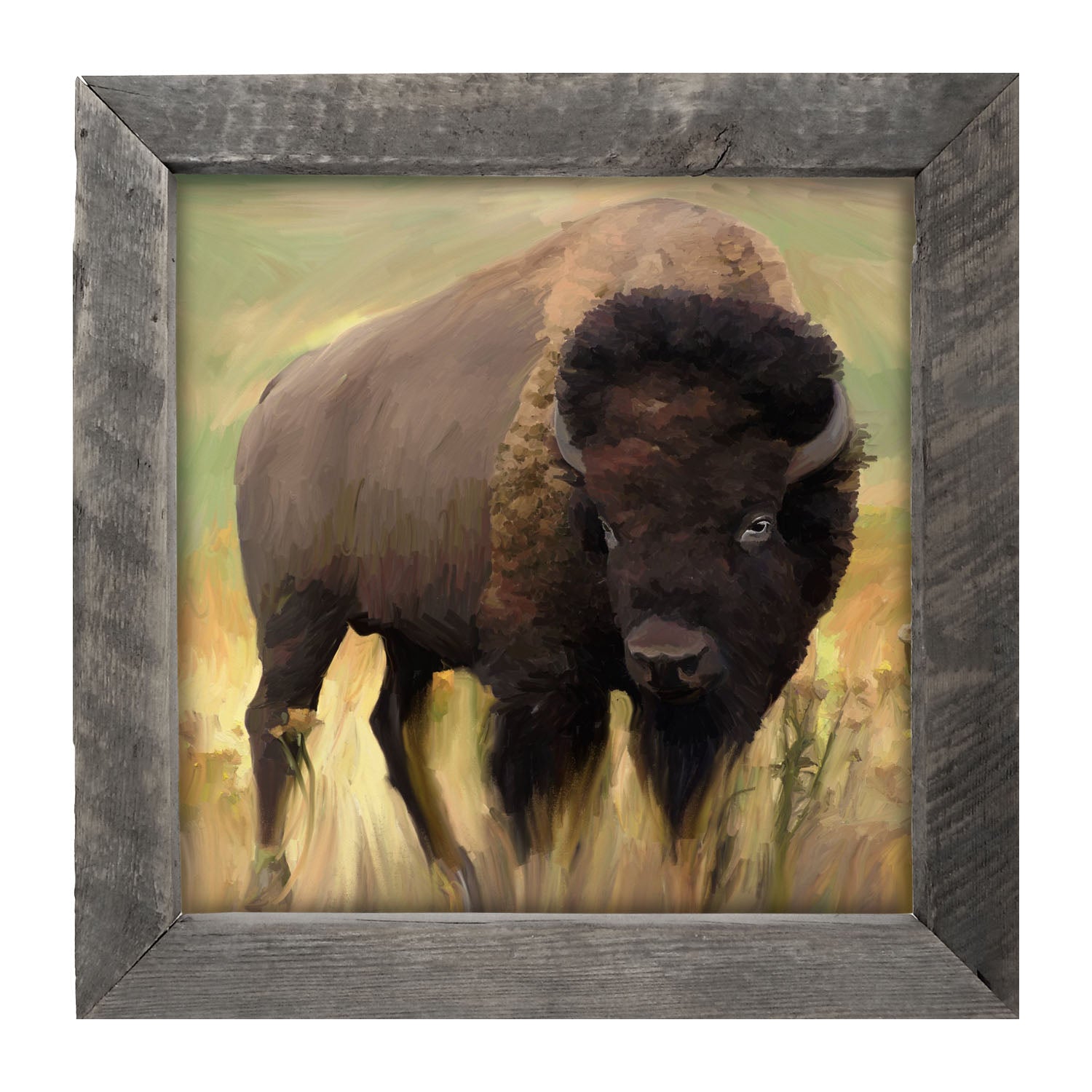 Lone Buffalo - Framed art