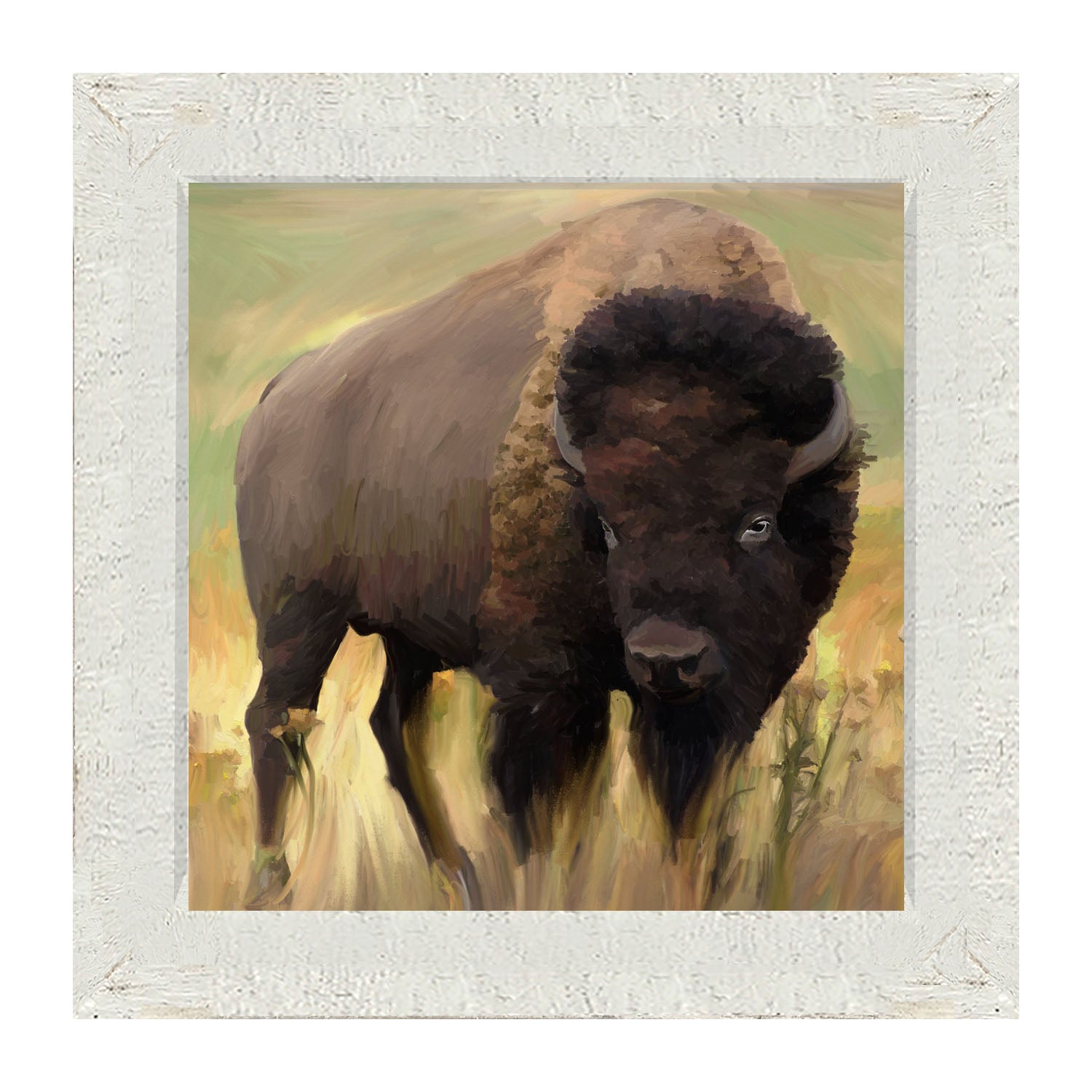 Lone Buffalo - Framed art