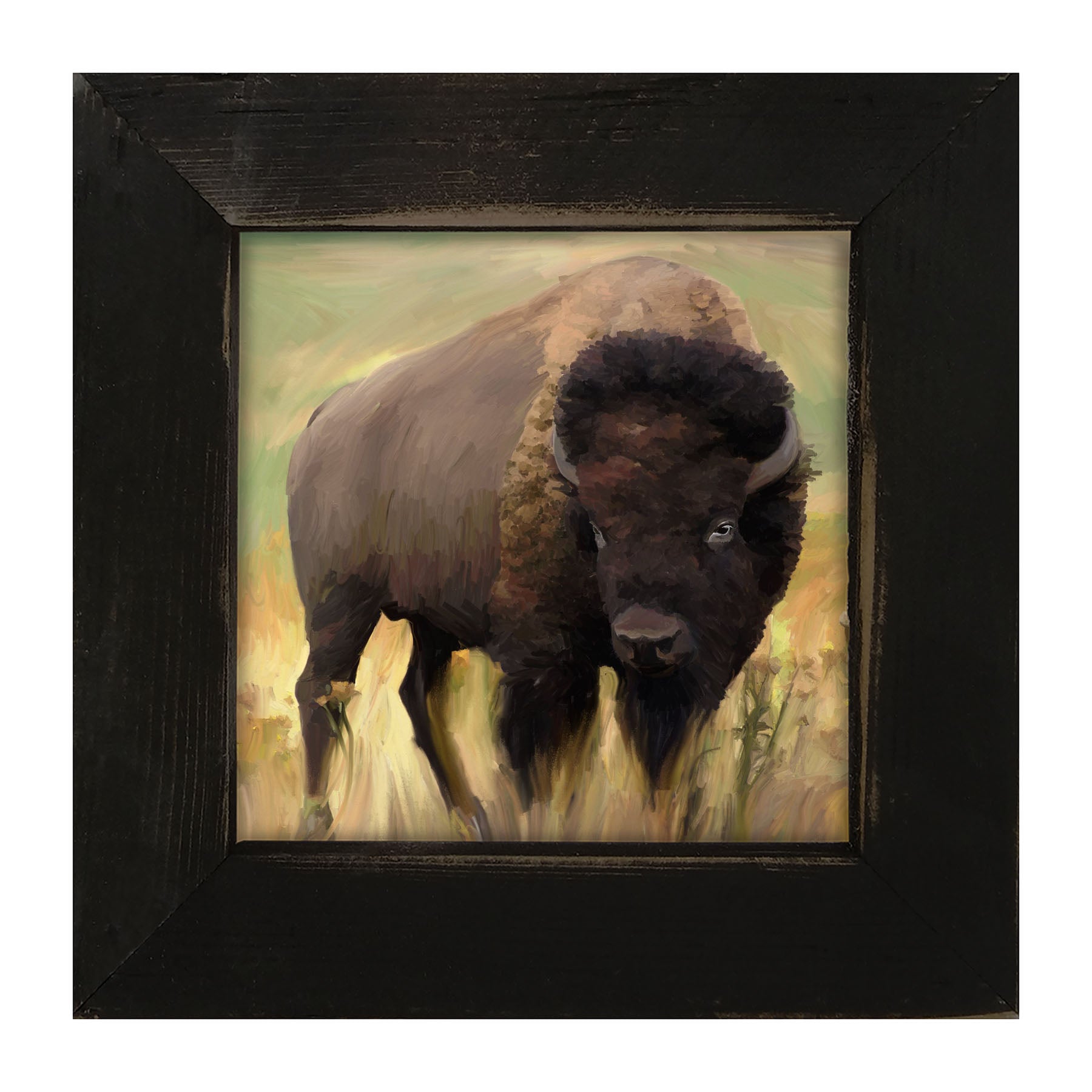 Lone Buffalo - Framed art