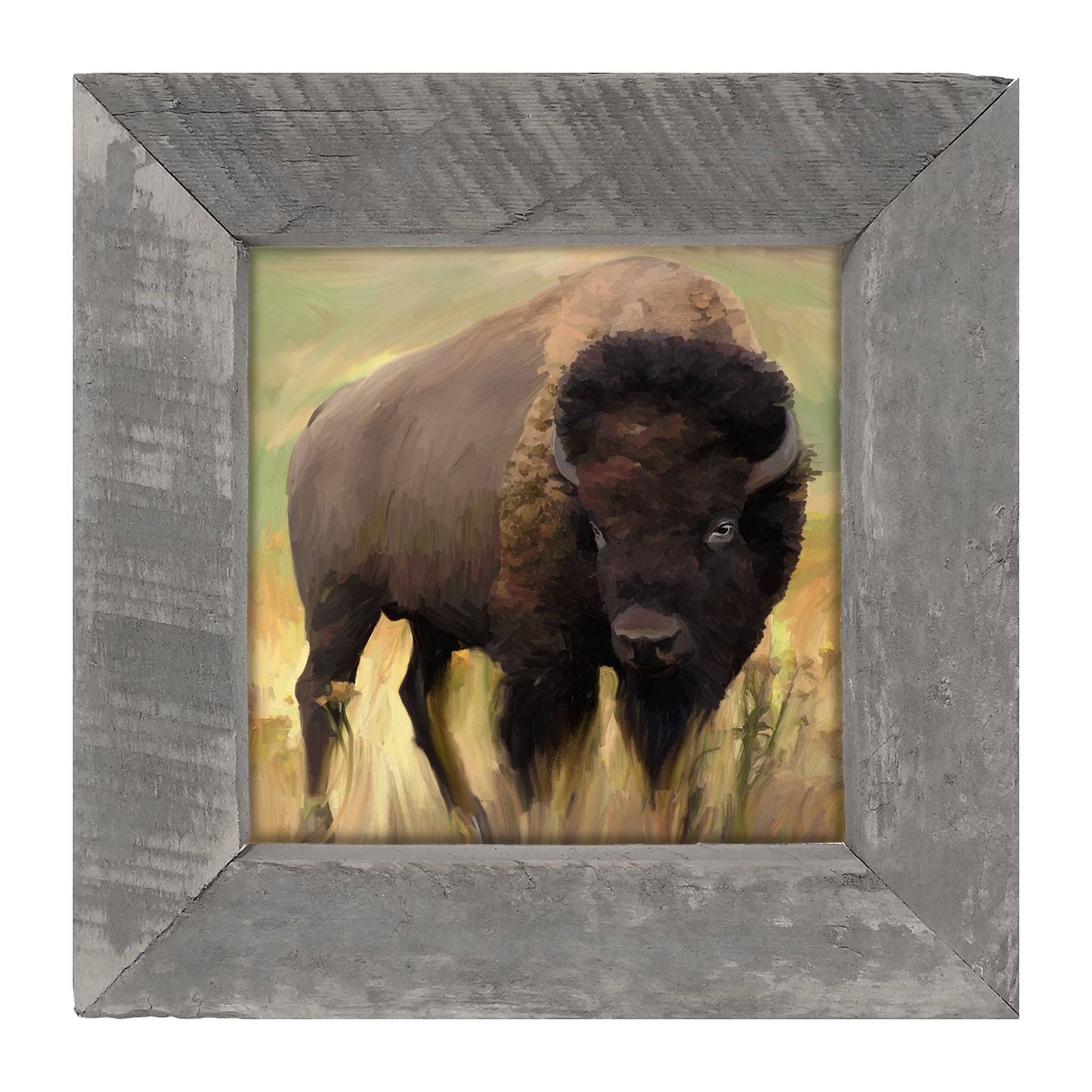 Lone Buffalo - Framed art