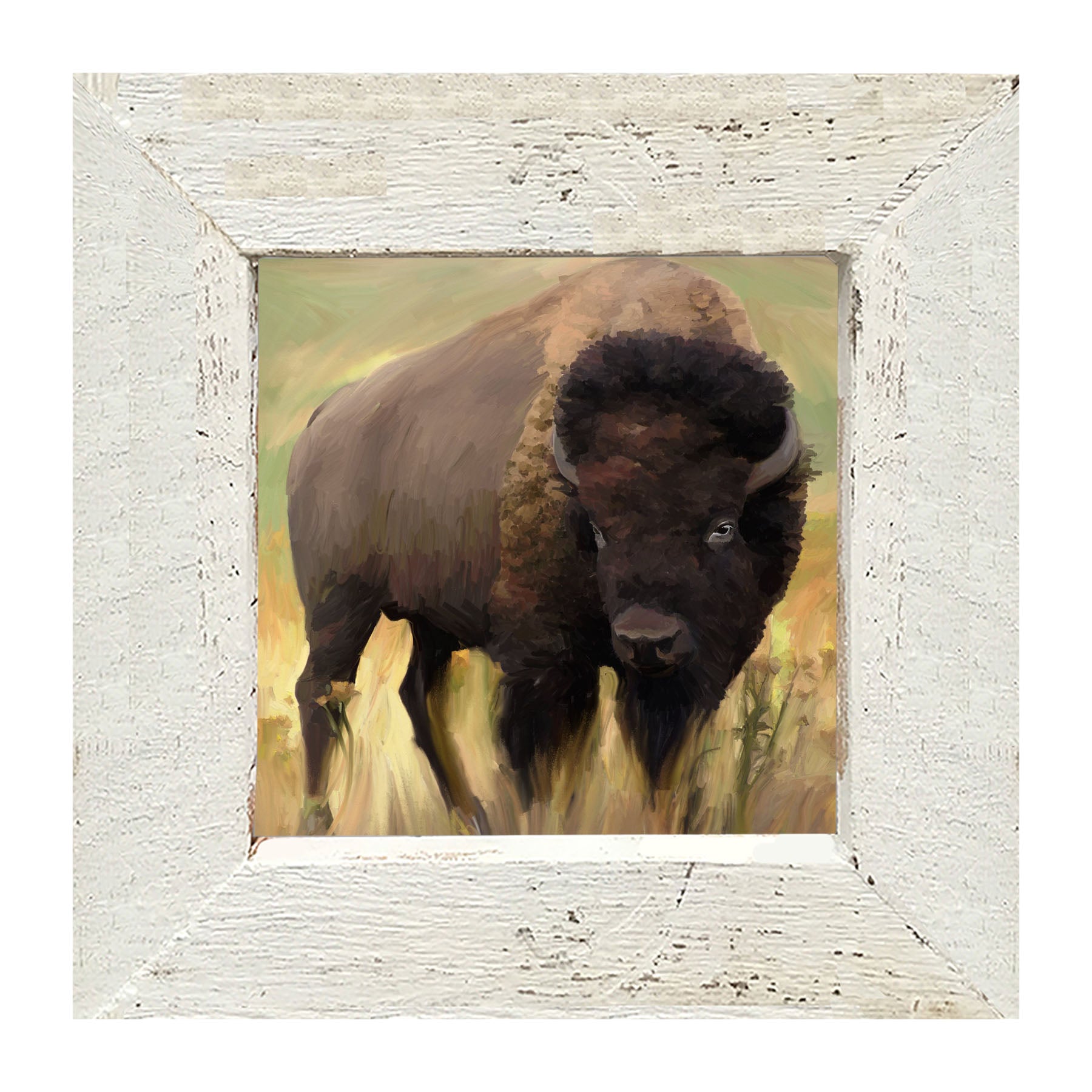 Lone Buffalo - Framed art