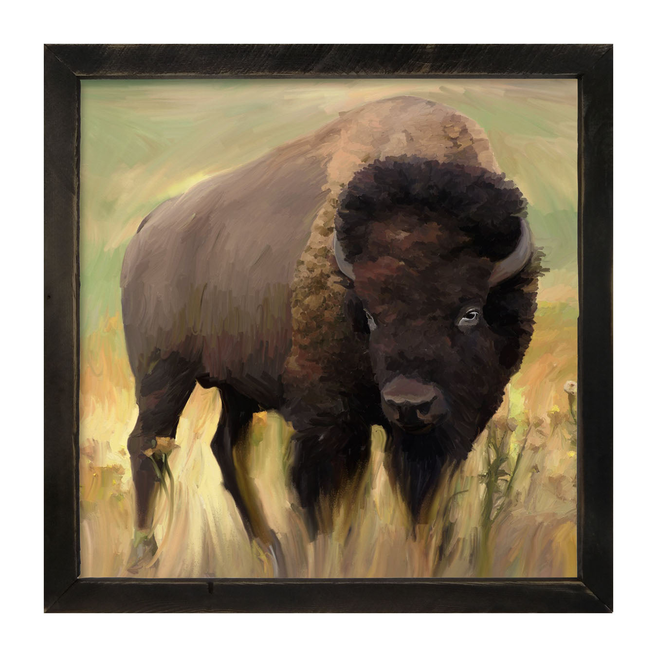 Lone Buffalo - Framed art