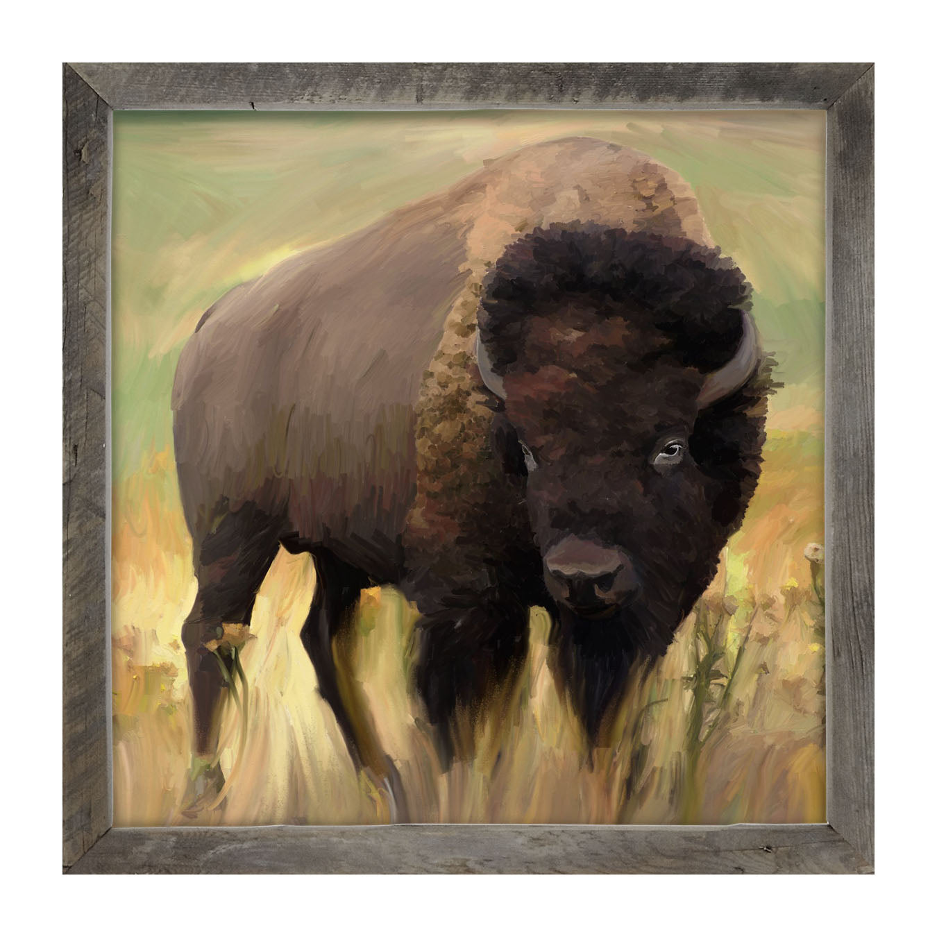 Lone Buffalo - Framed art