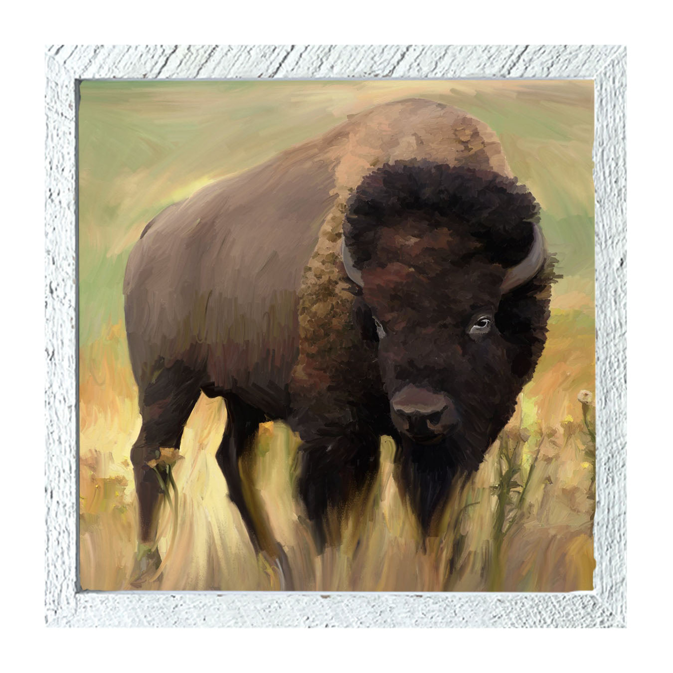 Lone Buffalo - Framed art