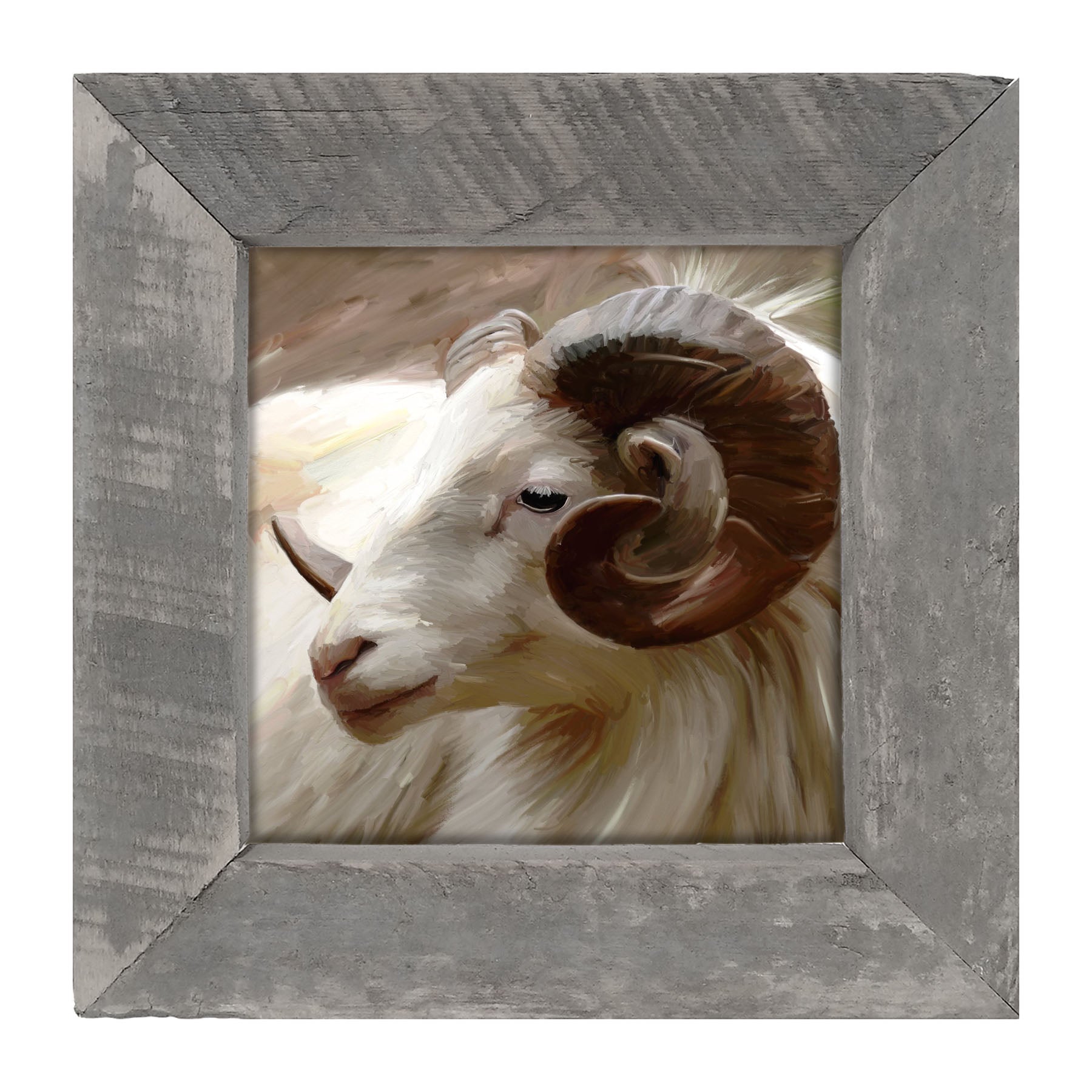 Ram - Framed art