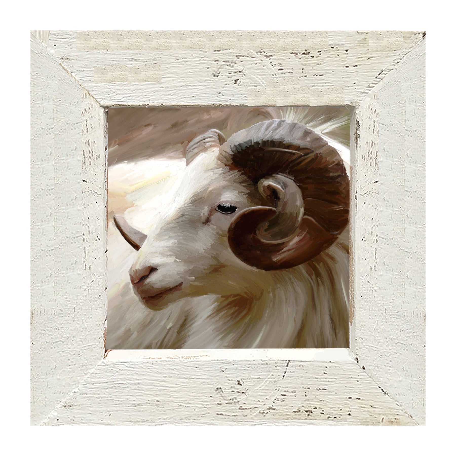 Ram - Framed art