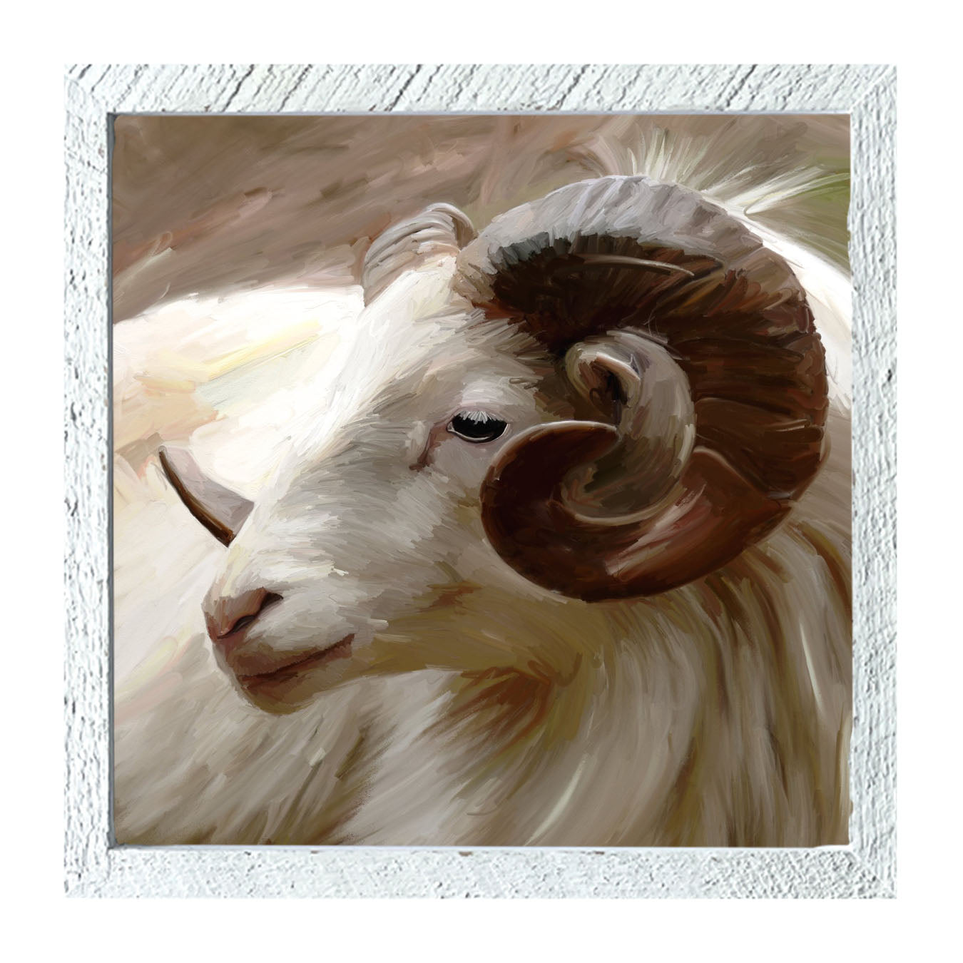 Ram - Framed art