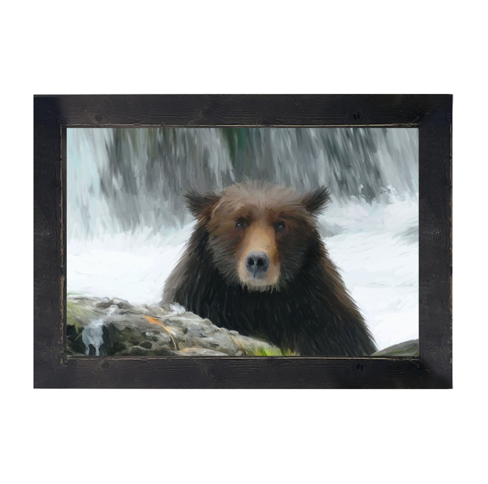 Grizzly - Framed art