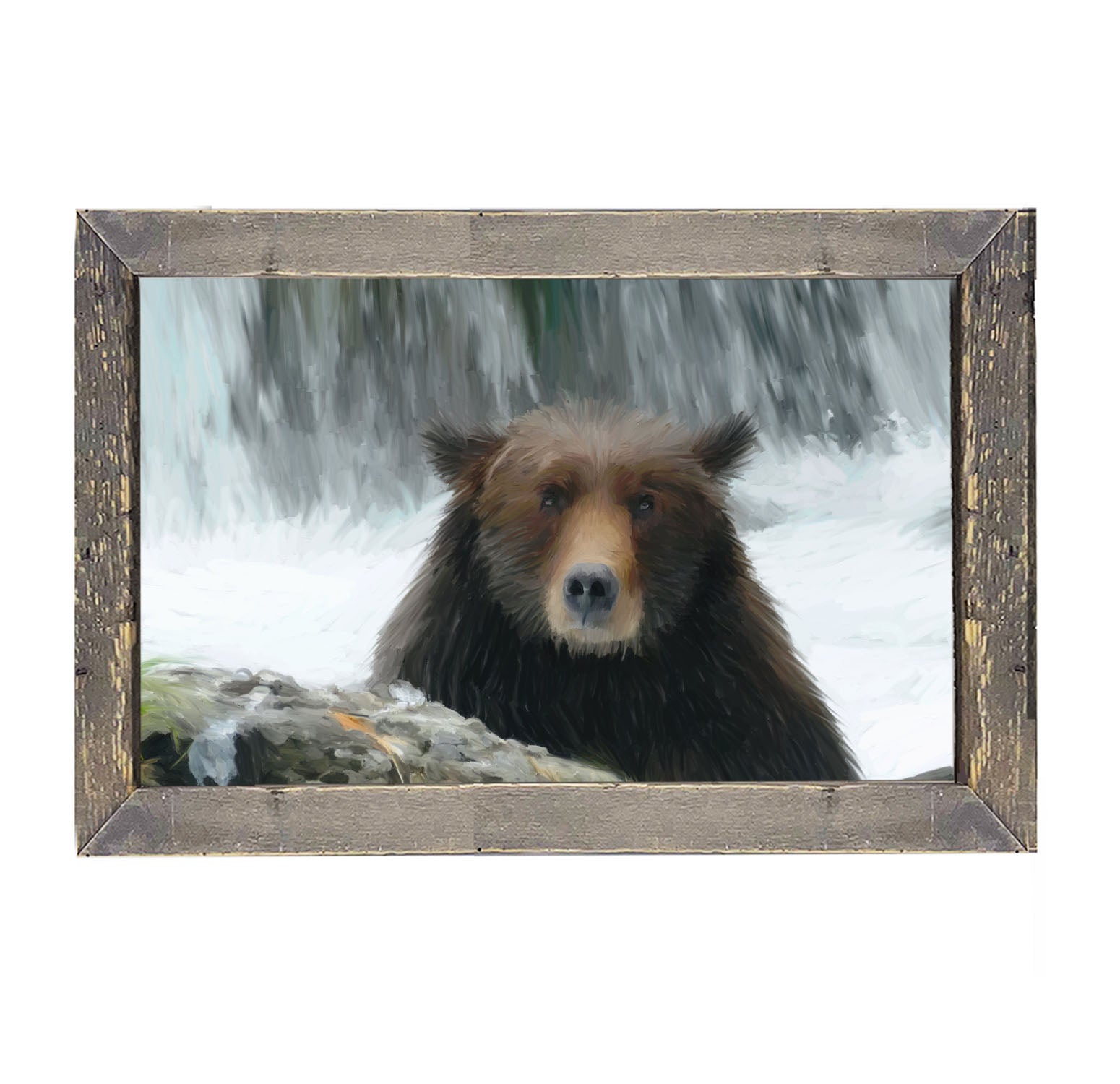 Grizzly - Framed art