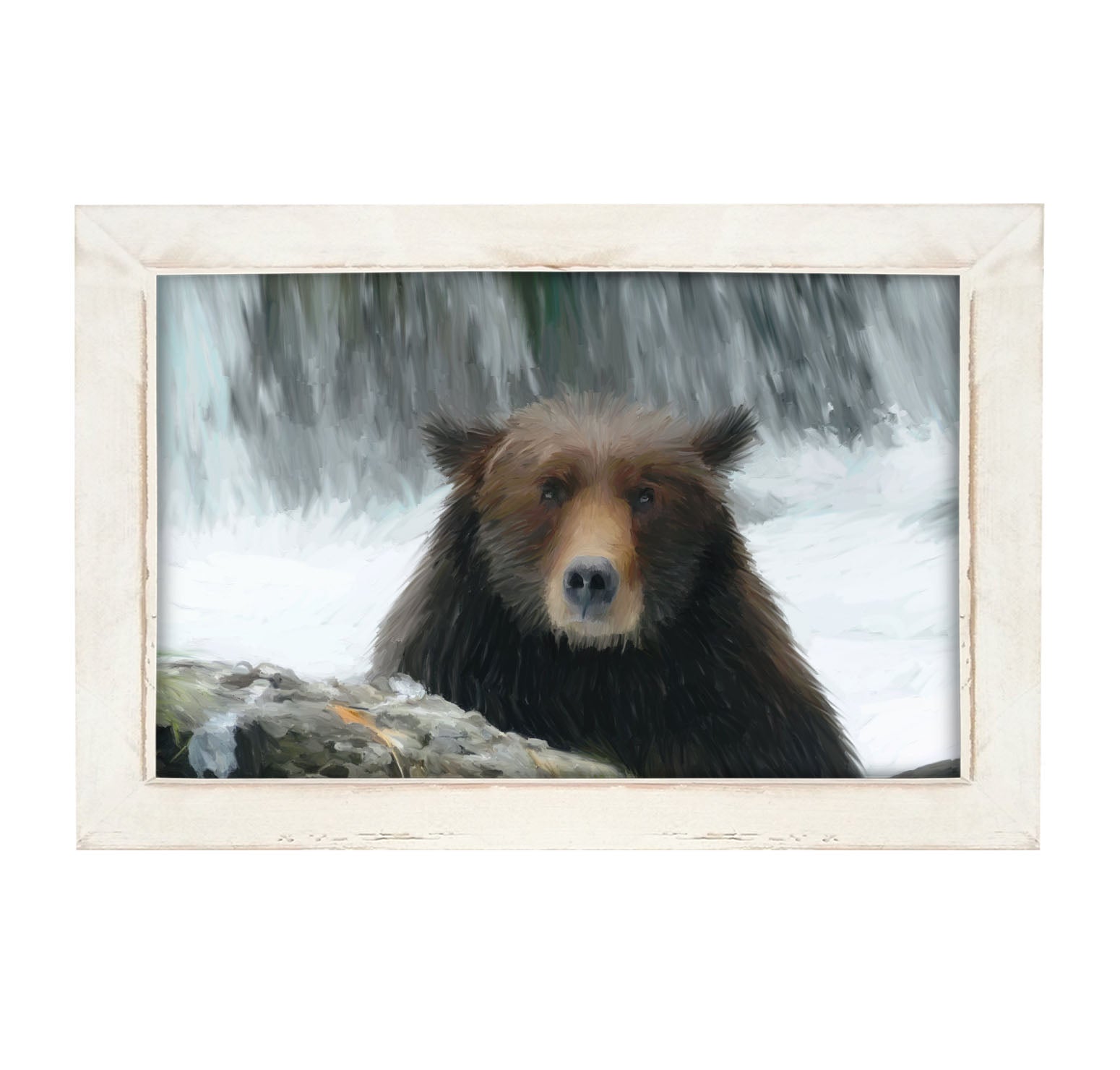 Grizzly - Framed art