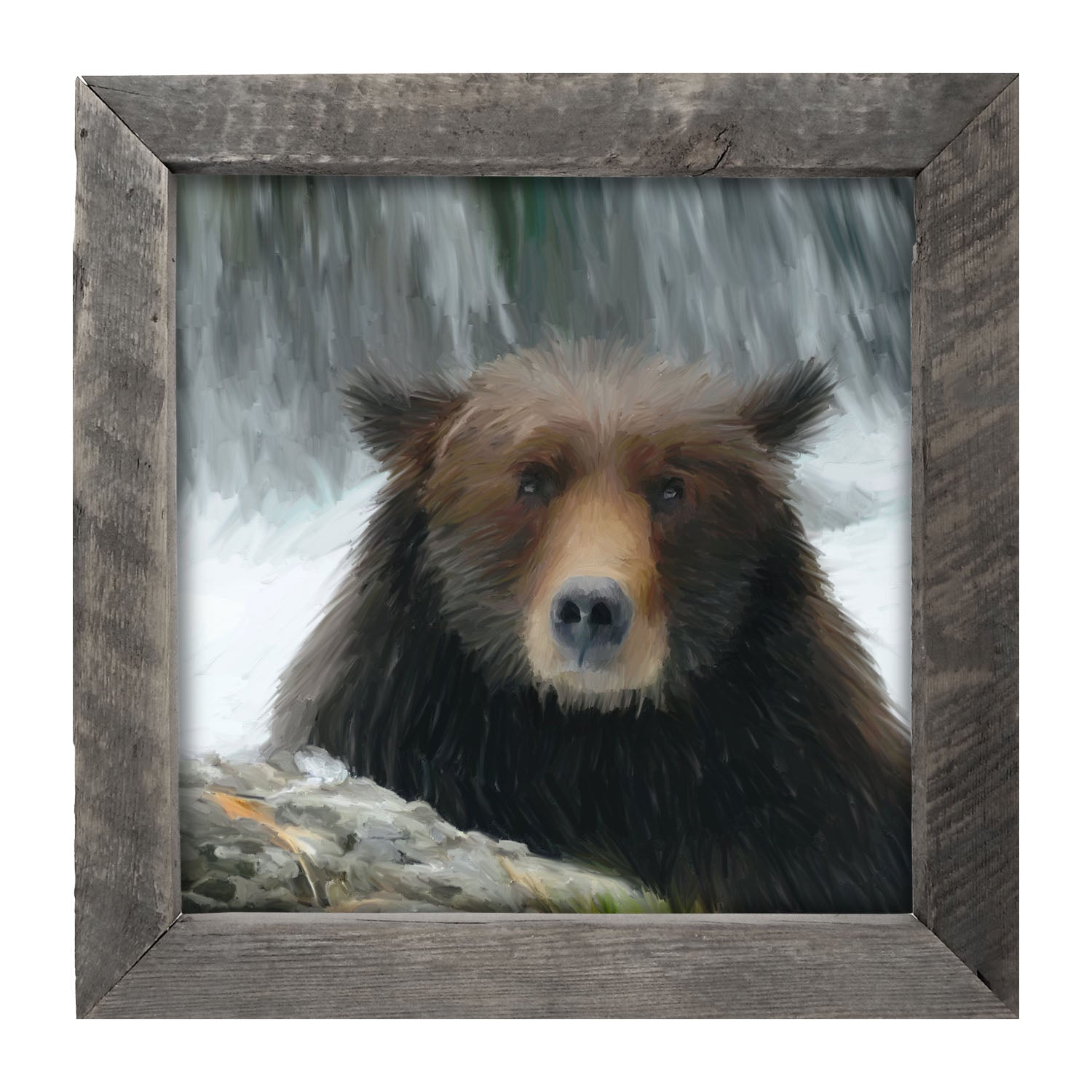 Grizzly - Framed art