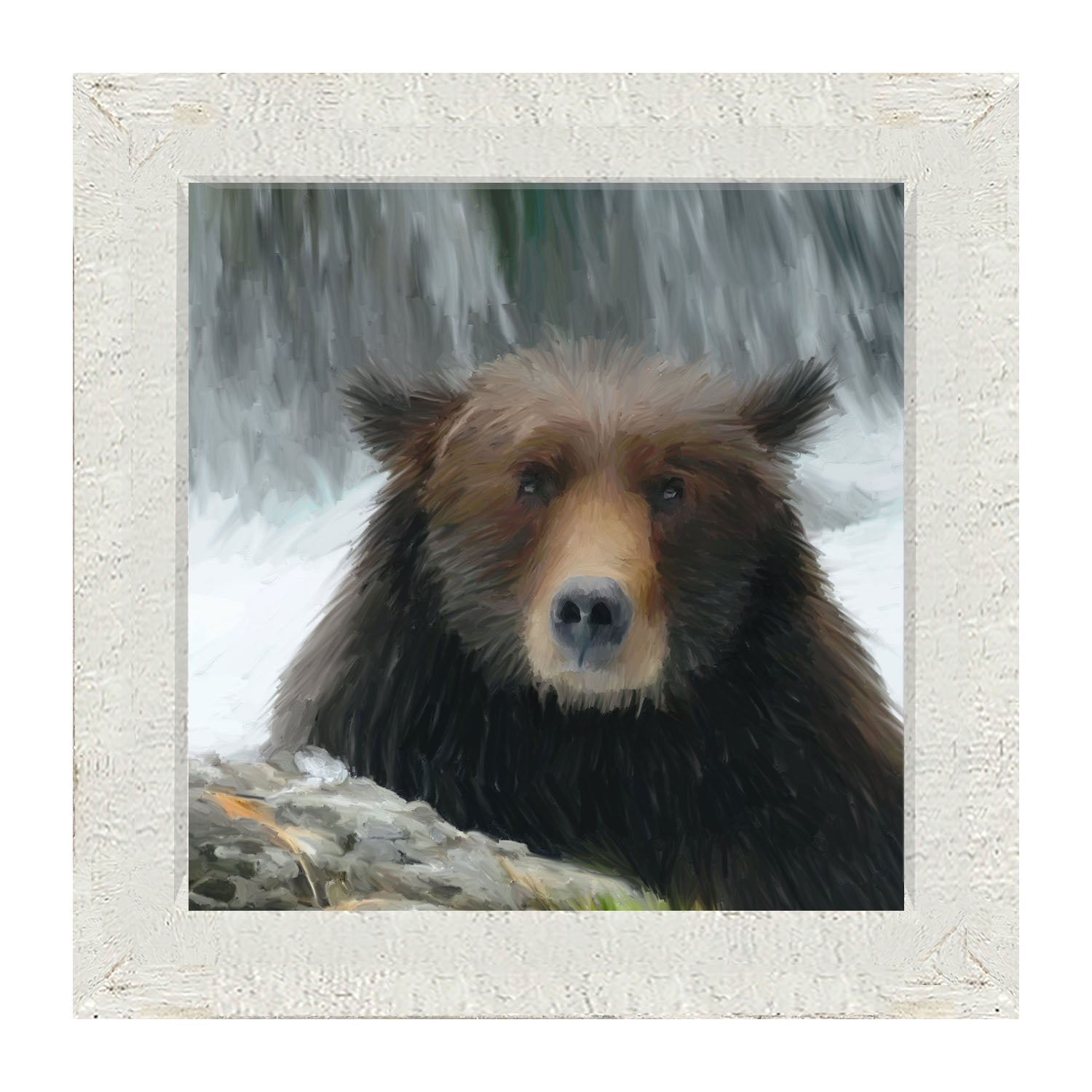Grizzly - Framed art