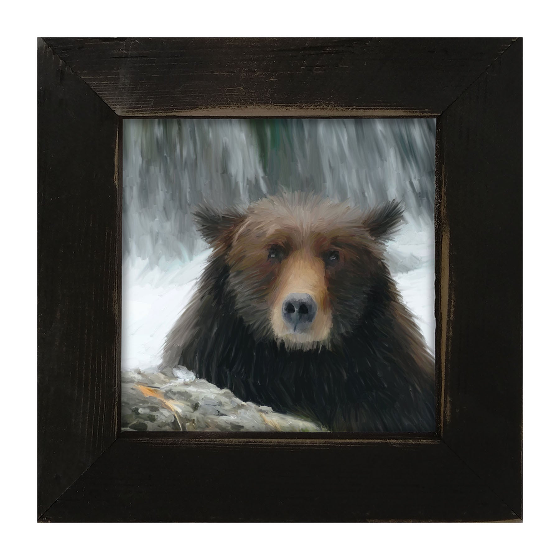 Grizzly - Framed art