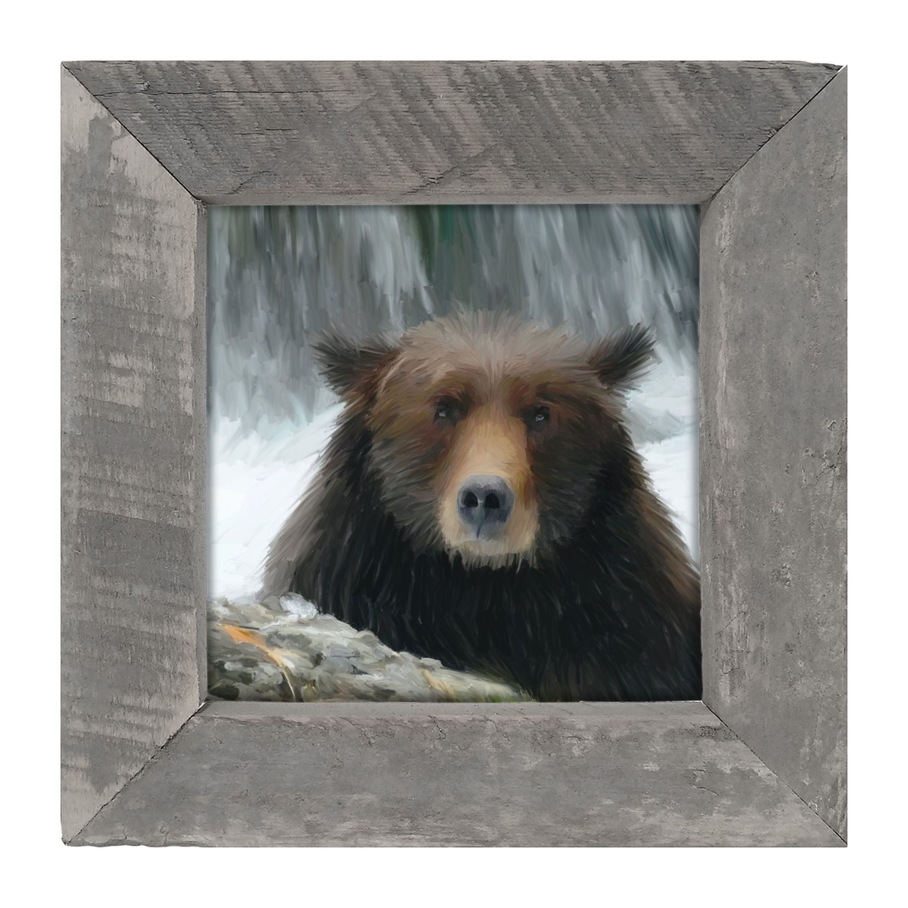 Grizzly - Framed art