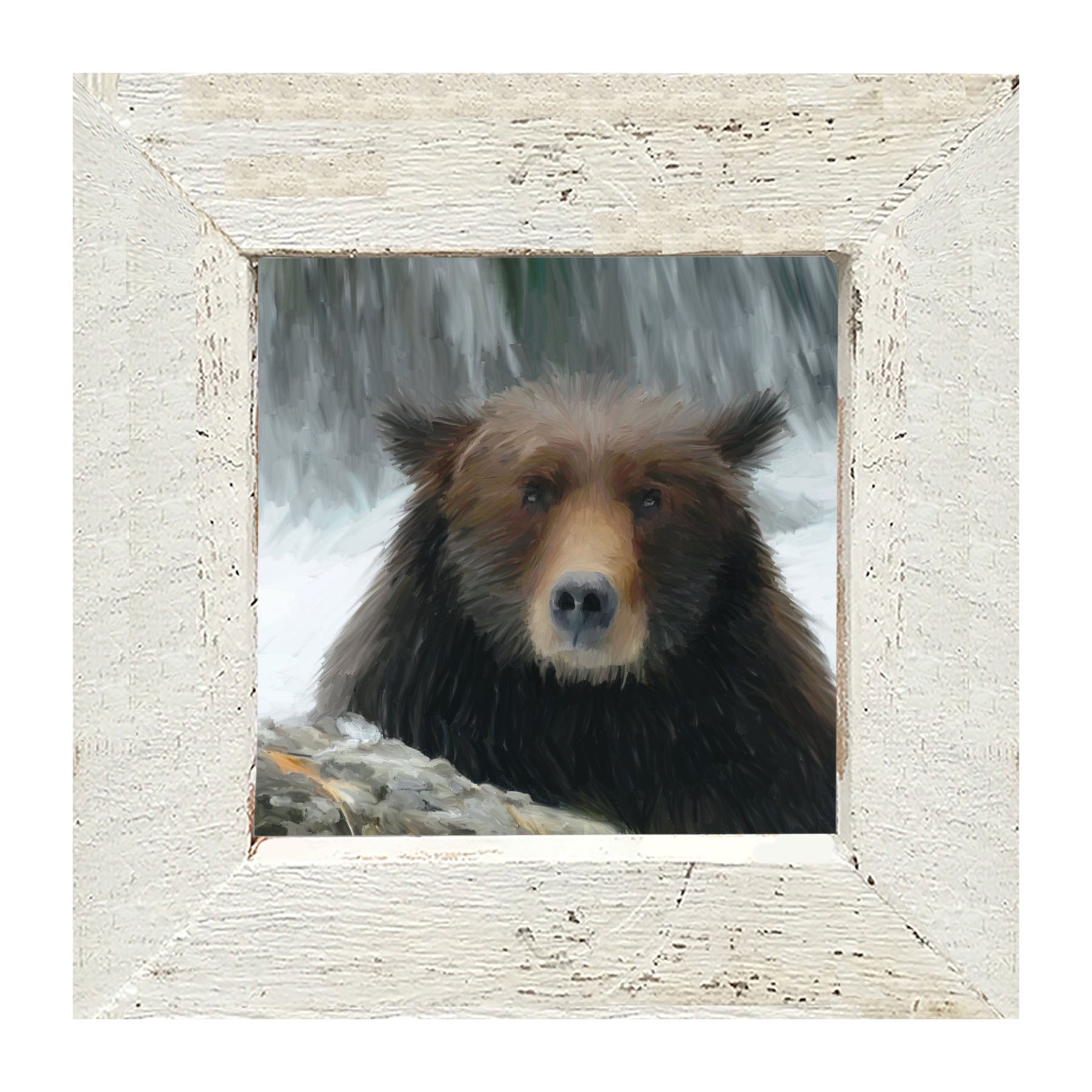 Grizzly - Framed art