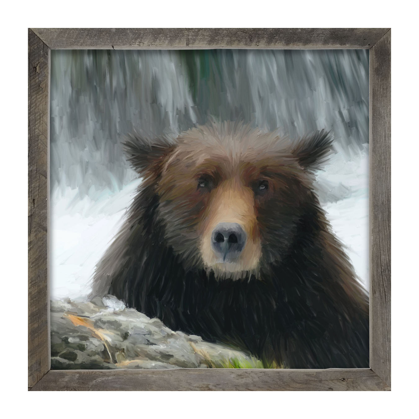 Grizzly - Framed art