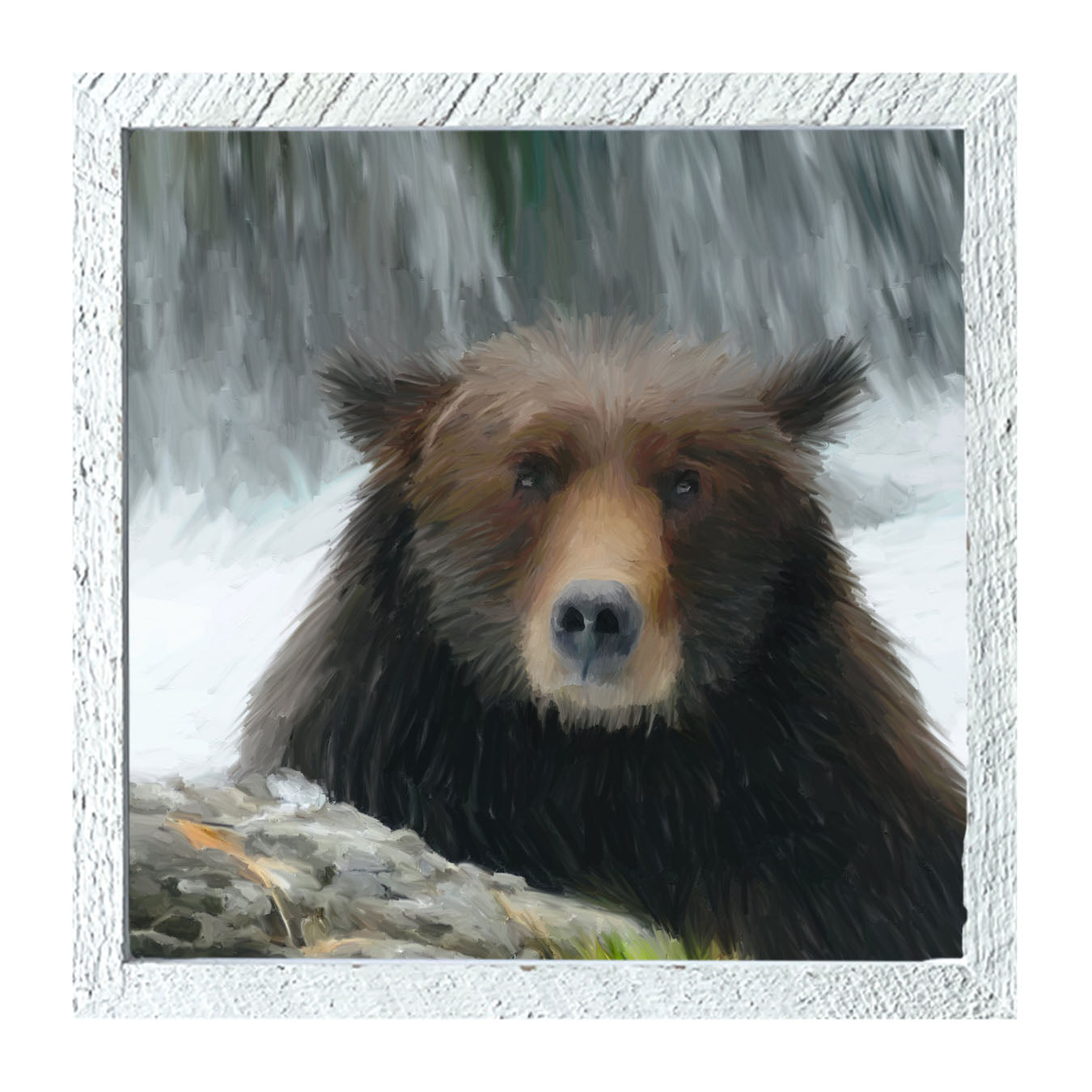 Grizzly - Framed art