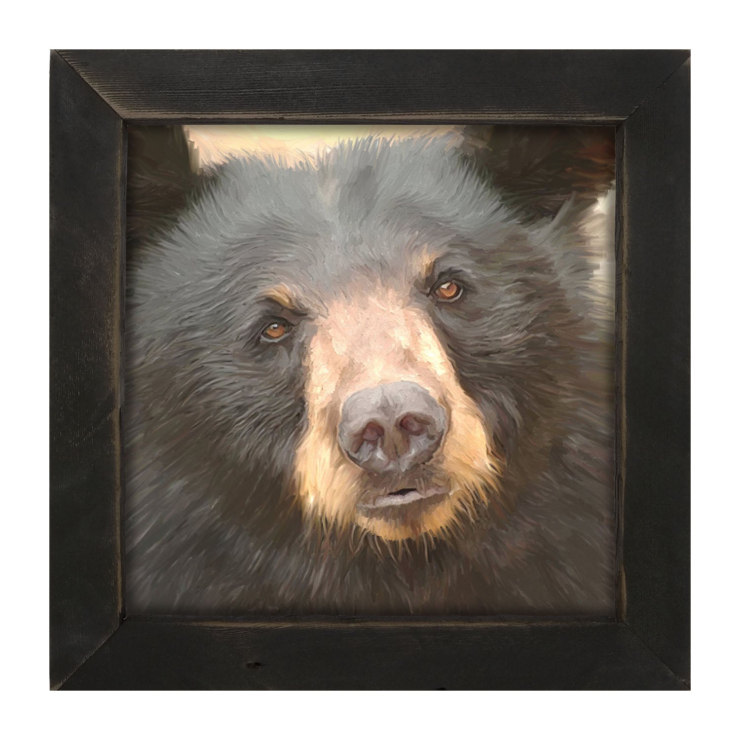 Black Bear - Framed art