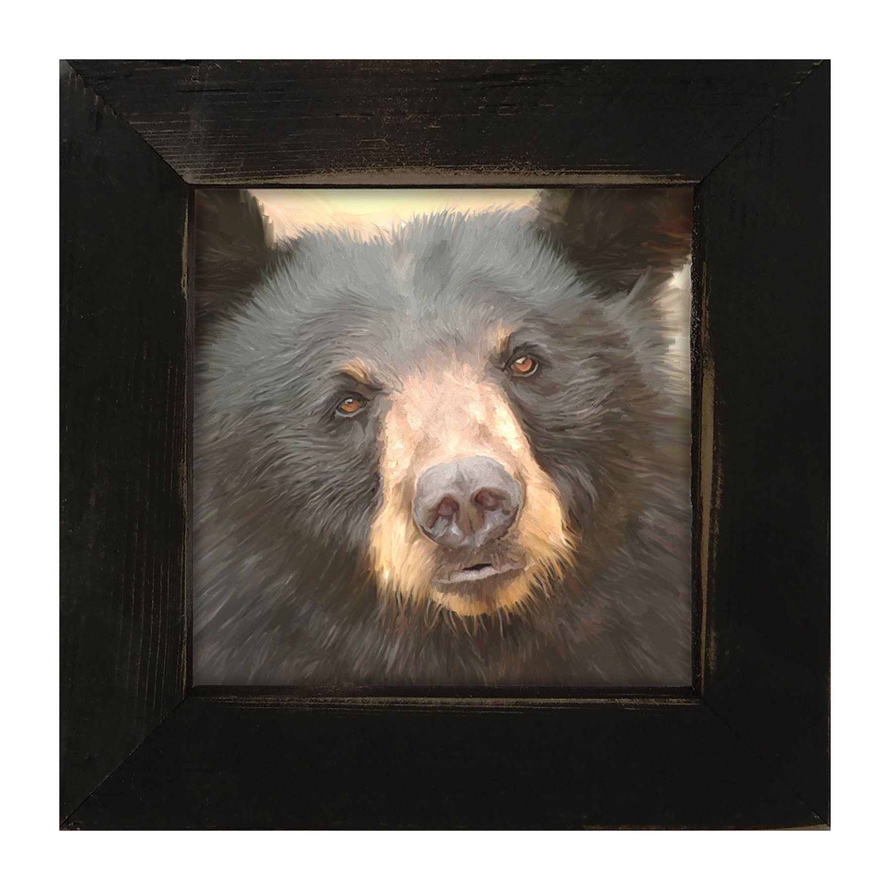 Black Bear - Framed art