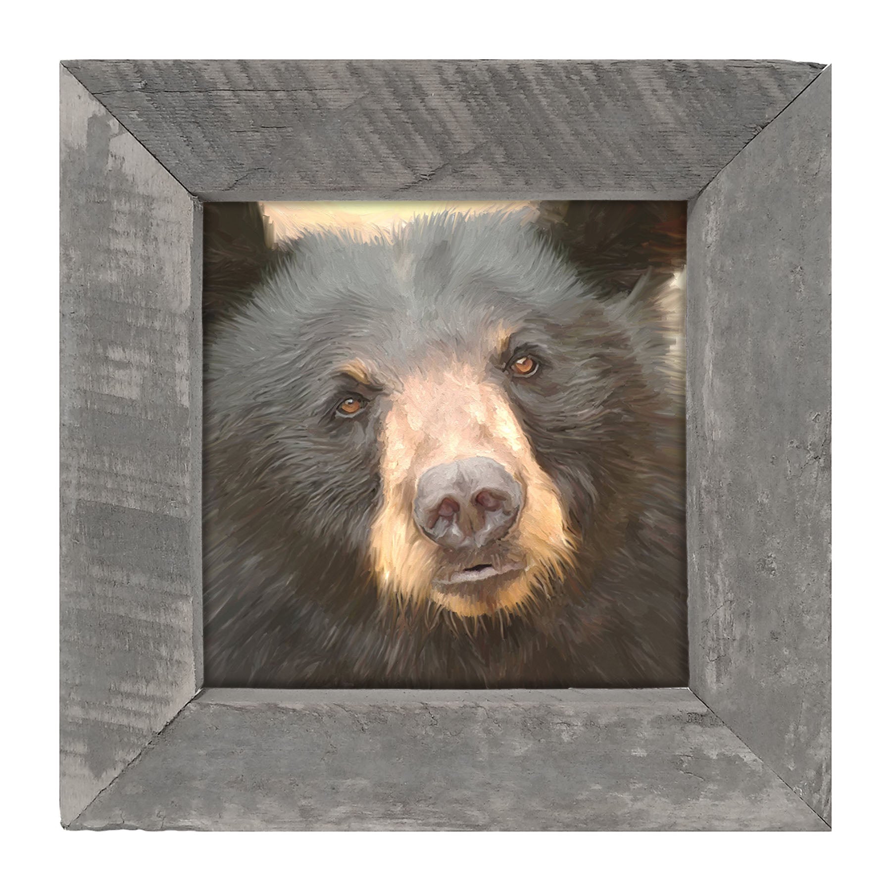 Black Bear - Framed art