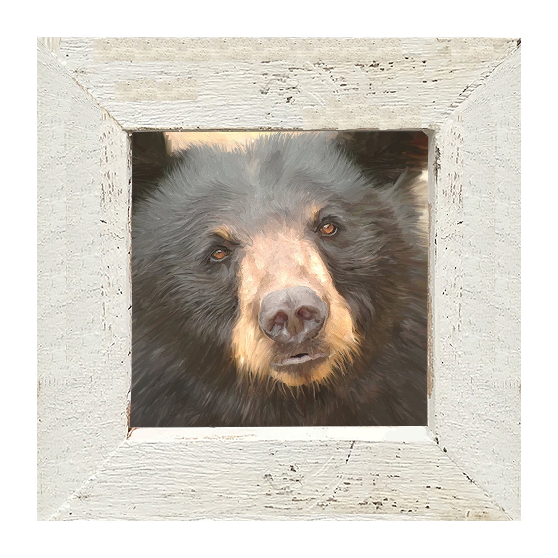 Black Bear - Framed art
